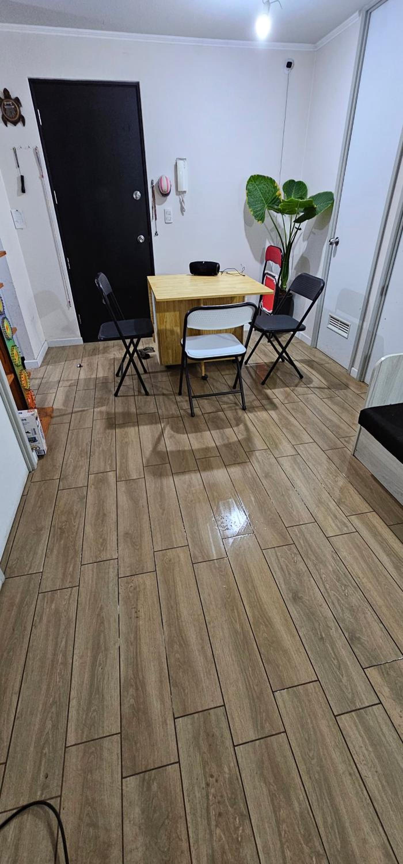 Departamento minimalista