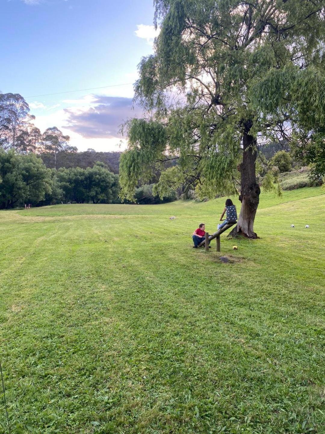 The Hammock