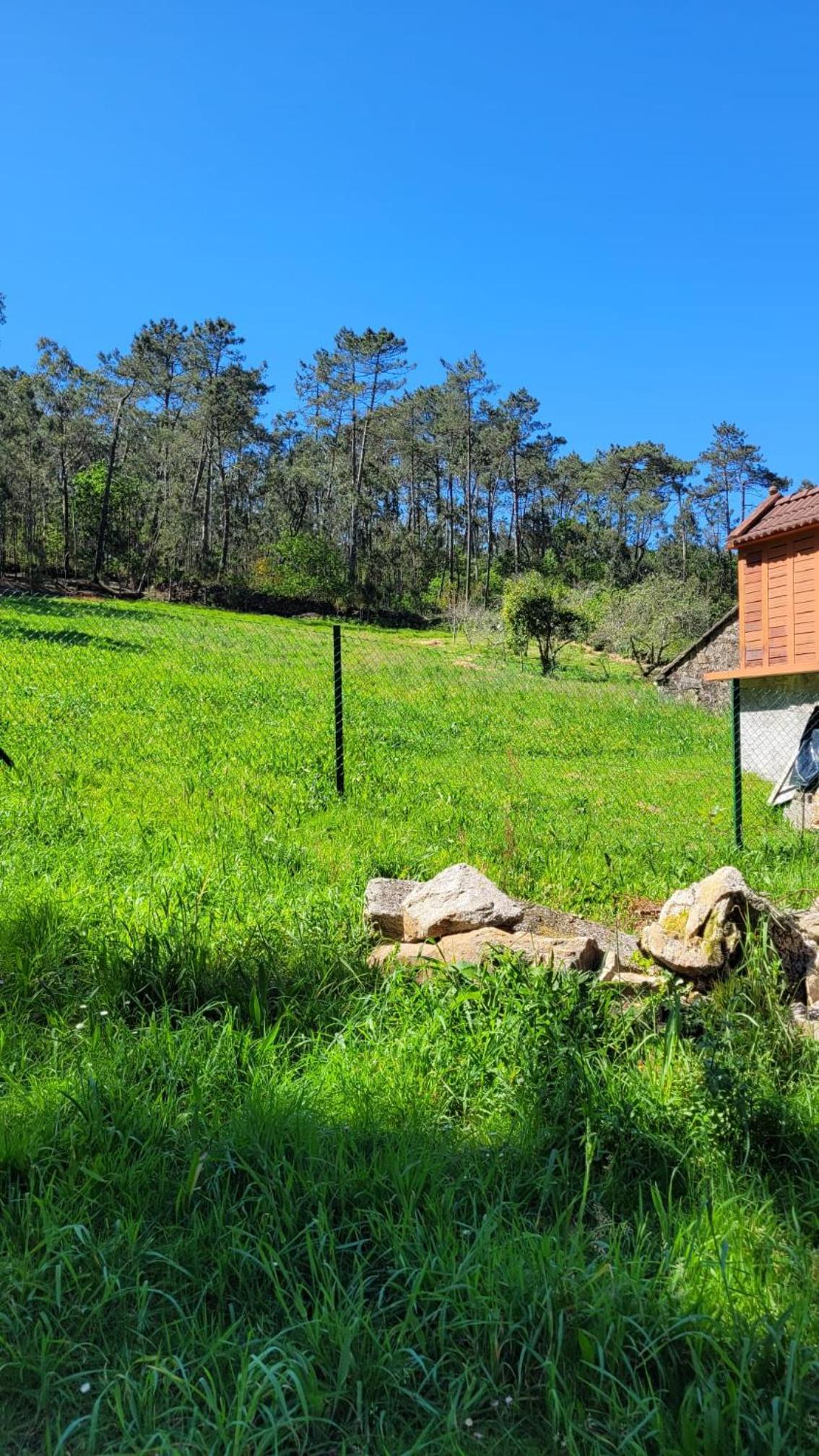 Casa Pandeiras
