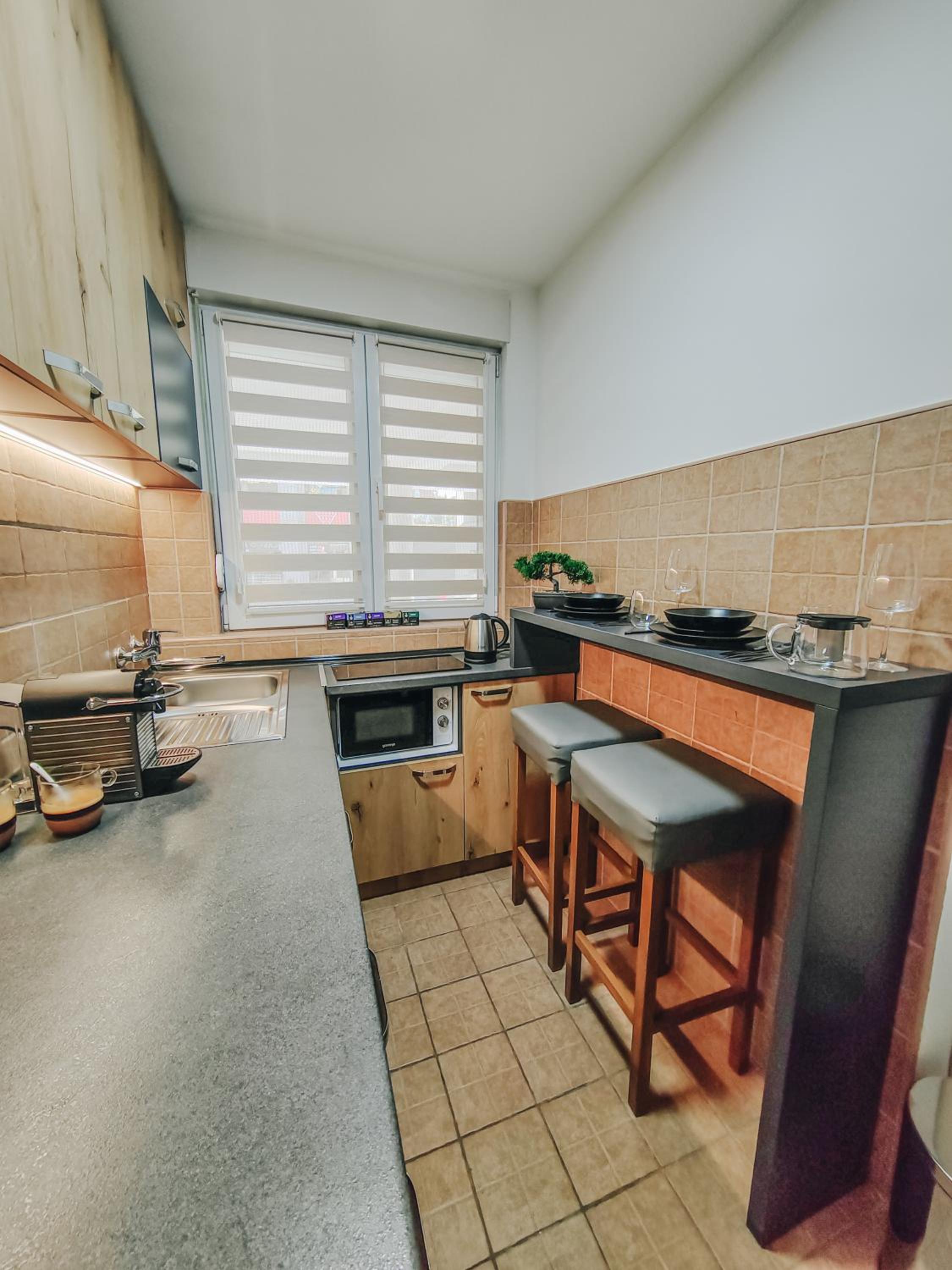 Apartman Premijer 1 view 3