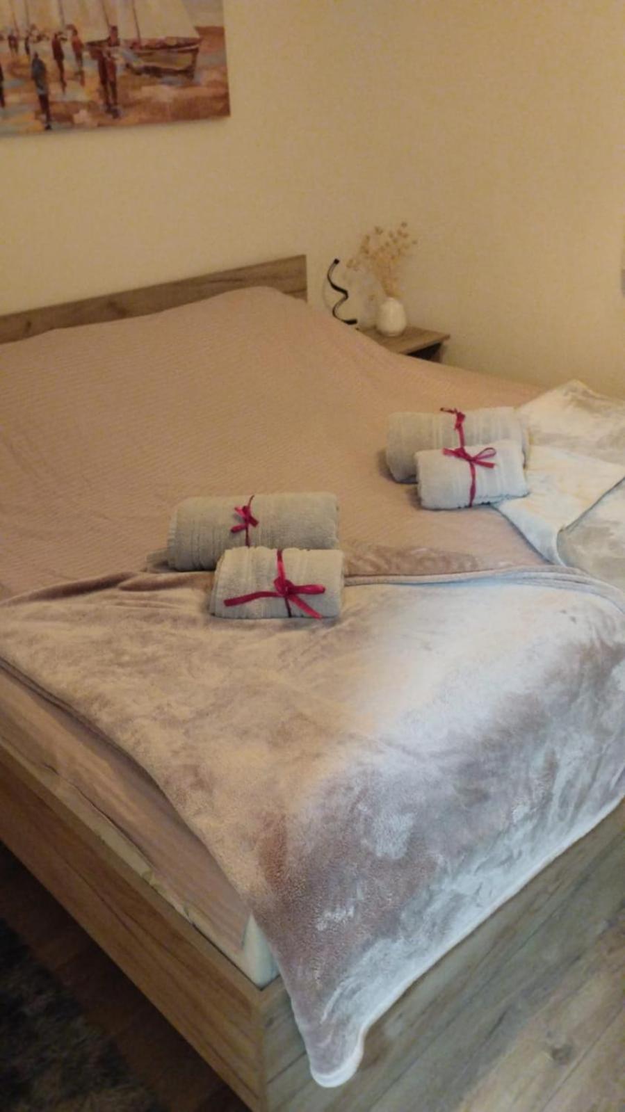 Apartman Aleksandra u strogom centru grada view 2