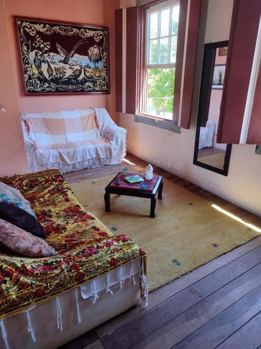 Casa Centenária localizada no calçadão de SLP