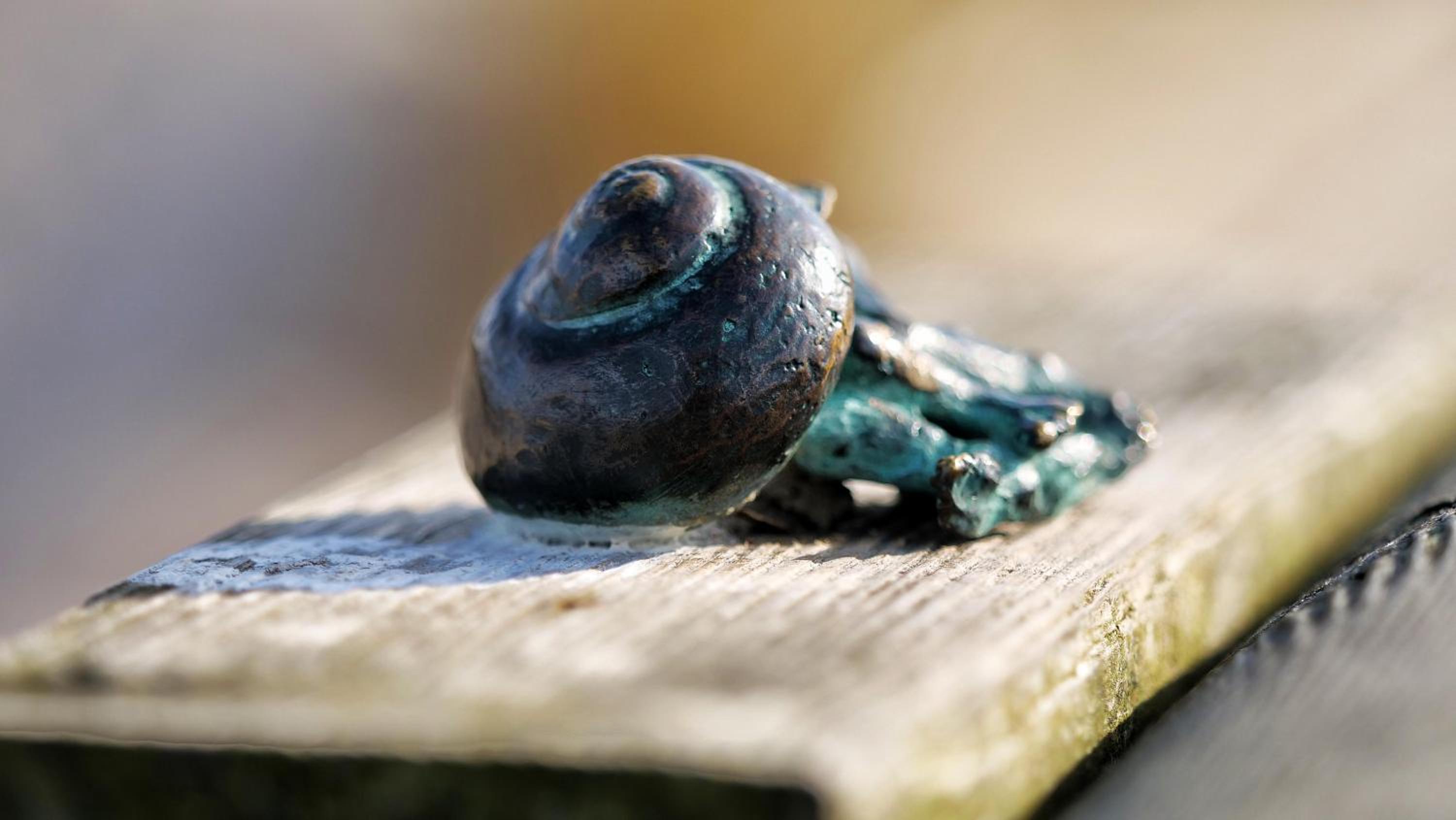 Kapitänsgarten Wohnung 25 view 3
