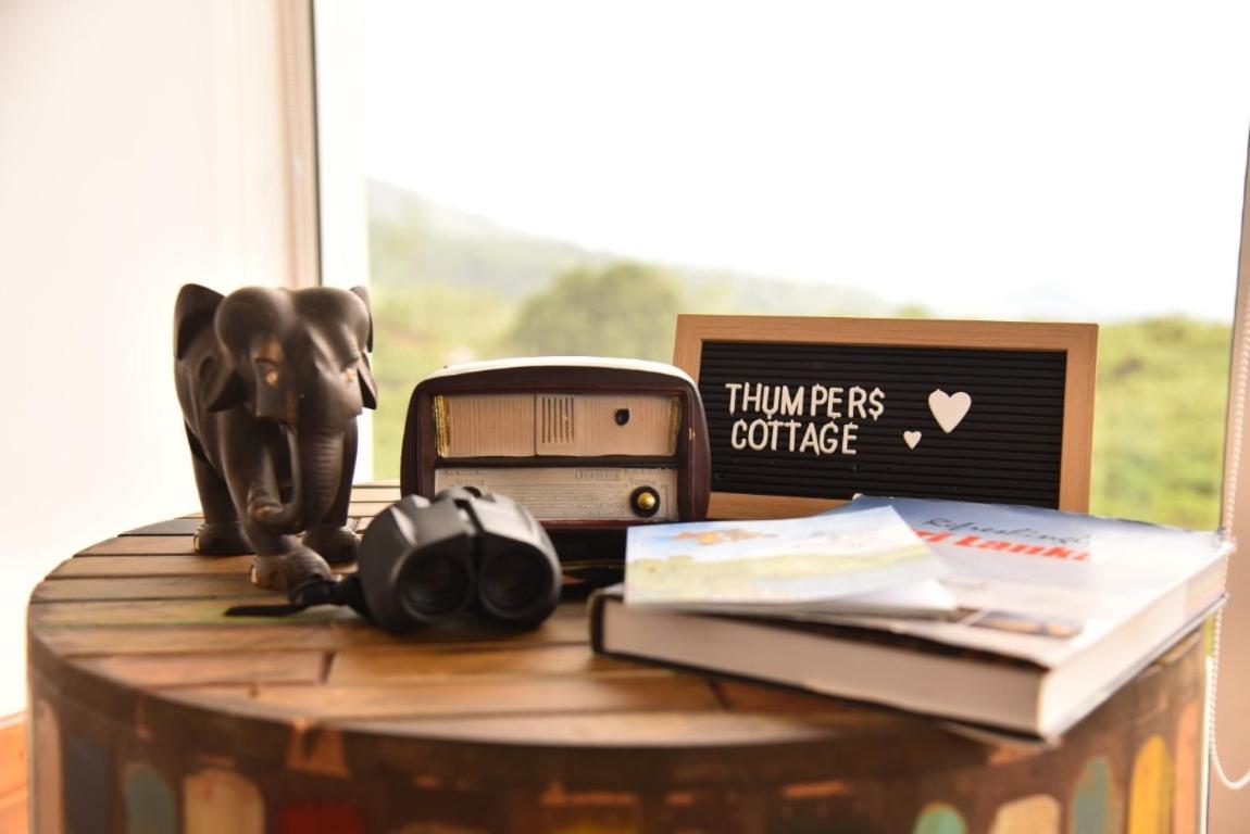 Thumpers Cottage