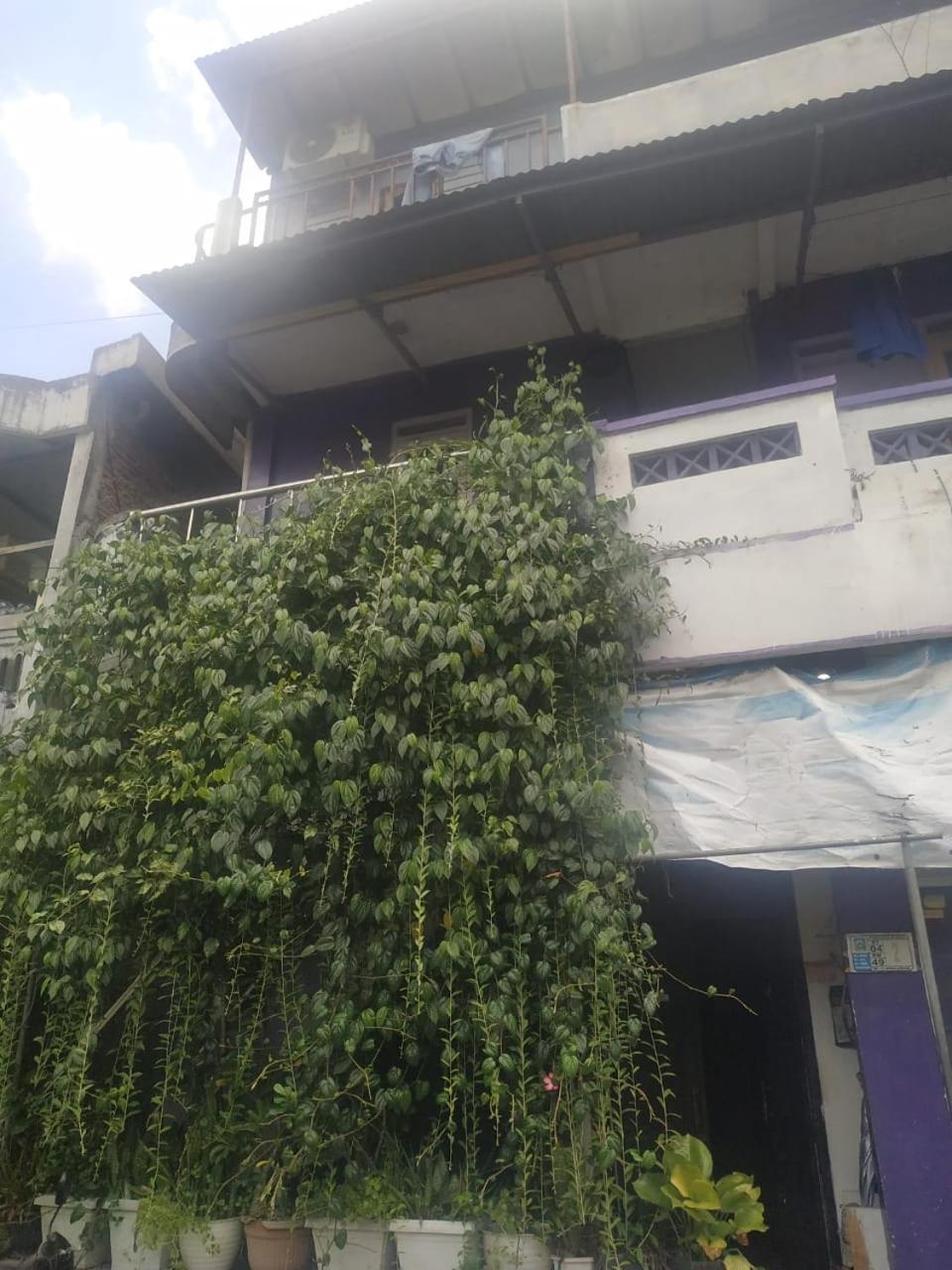 TOKO UNGU GUESTHOUSE