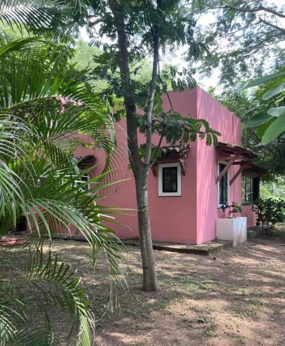 Bungalow “El Gallinero” view 3