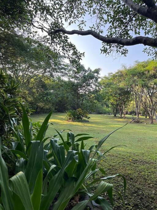 Bungalow “El Gallinero” view 5