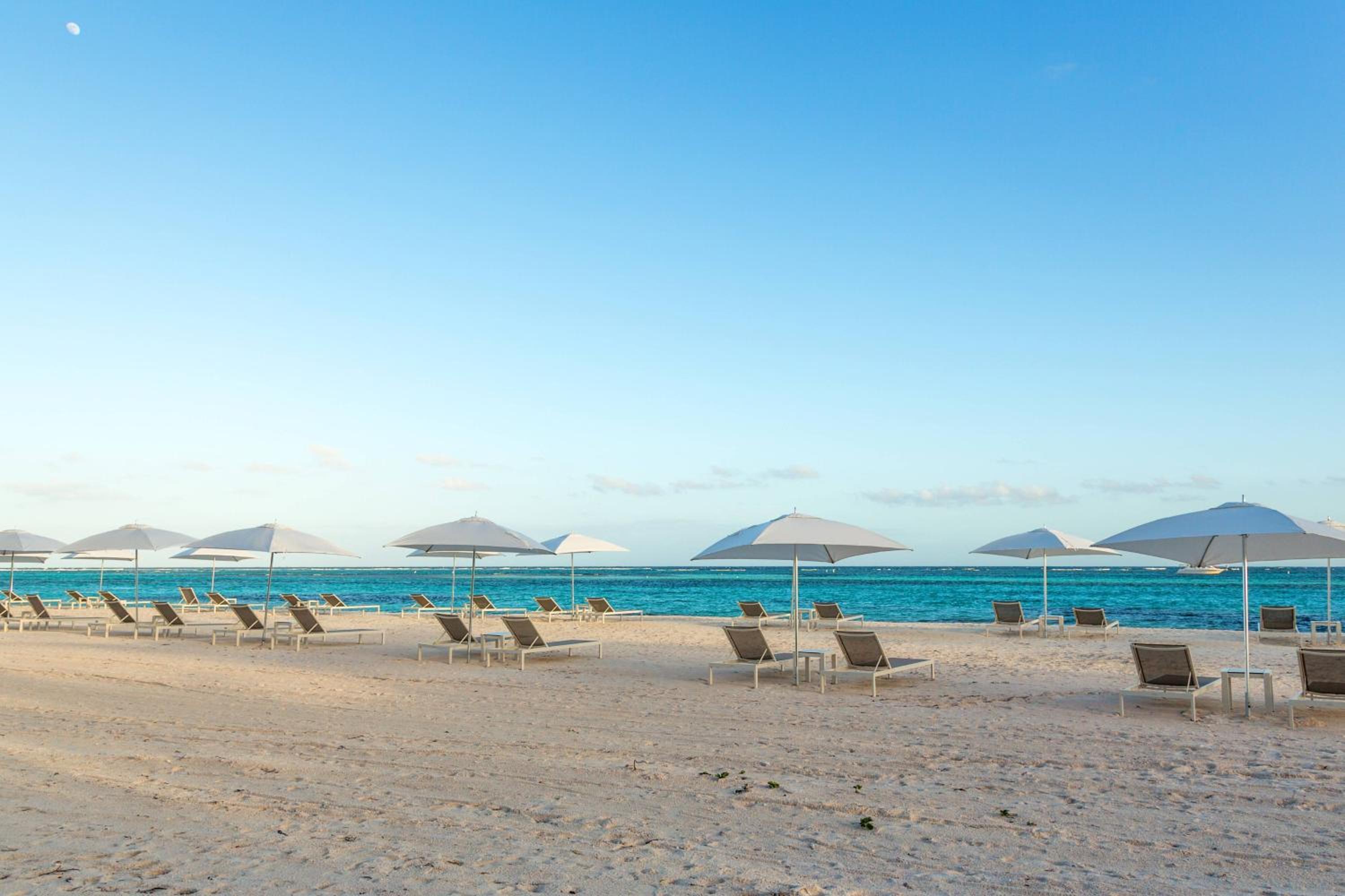The Westin Puntacana Resort photo 33 of 146