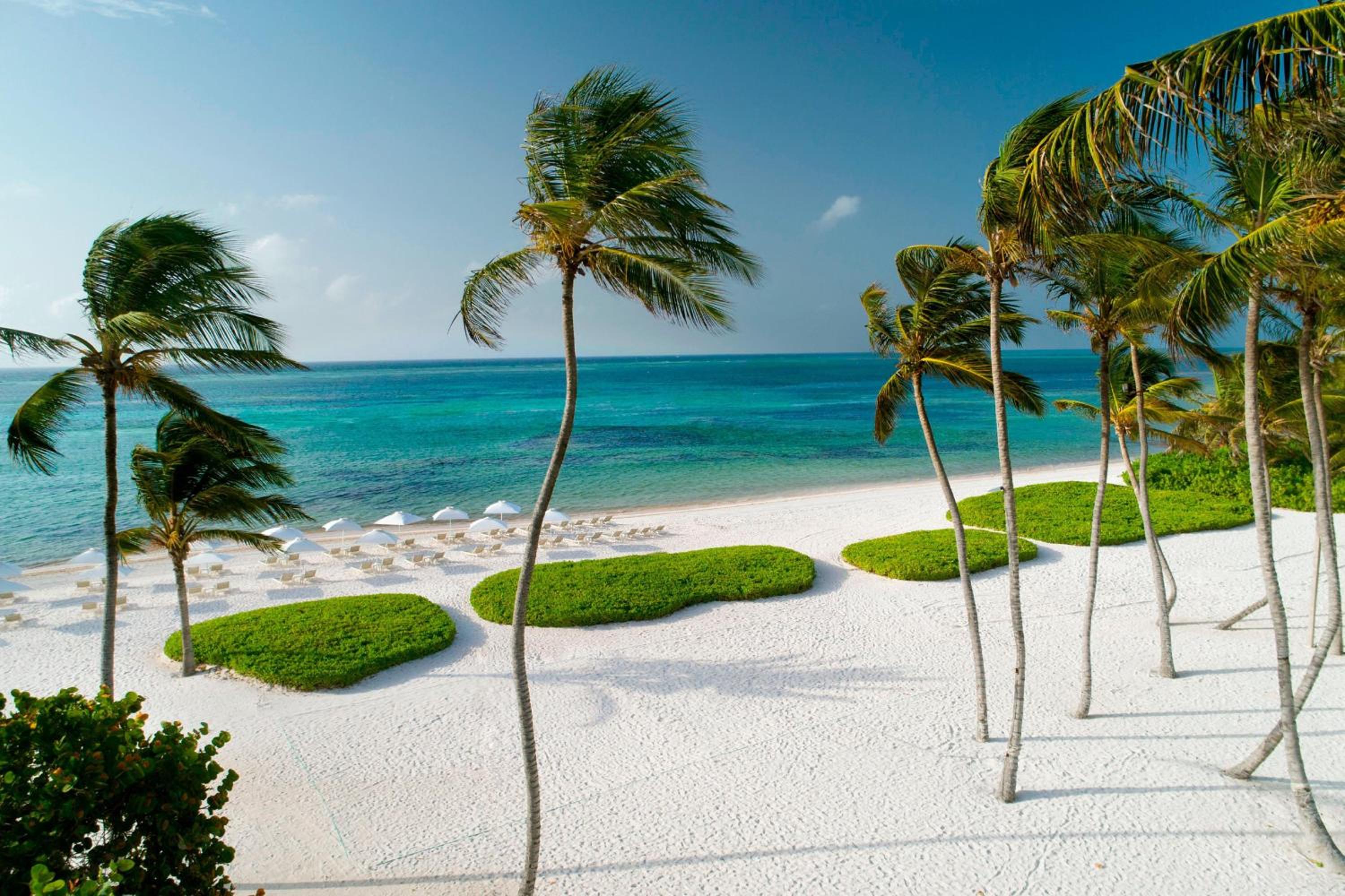 The Westin Puntacana Resort photo 129 of 146