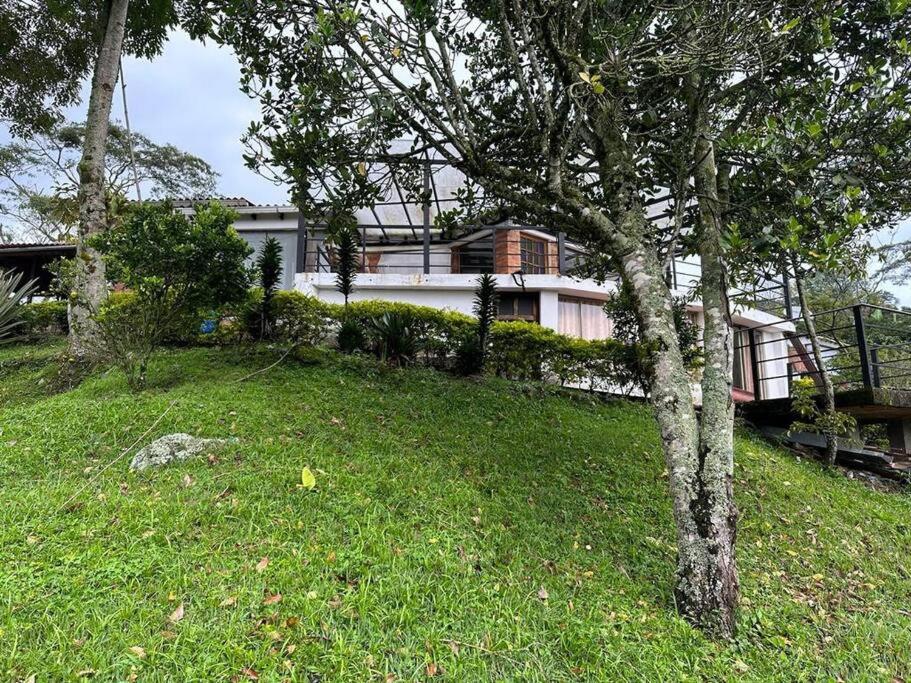 Villa Diana, Condominio Oasis