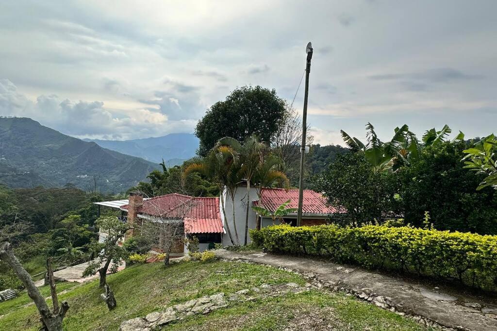 Villa Diana, Condominio Oasis