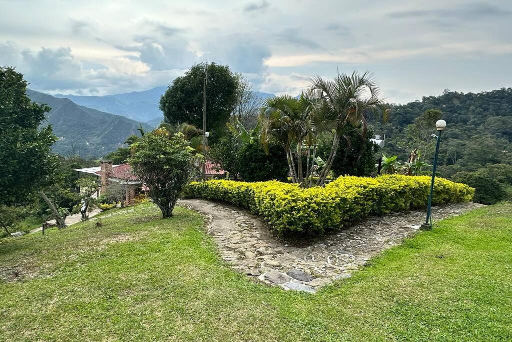 Villa Diana, Condominio Oasis