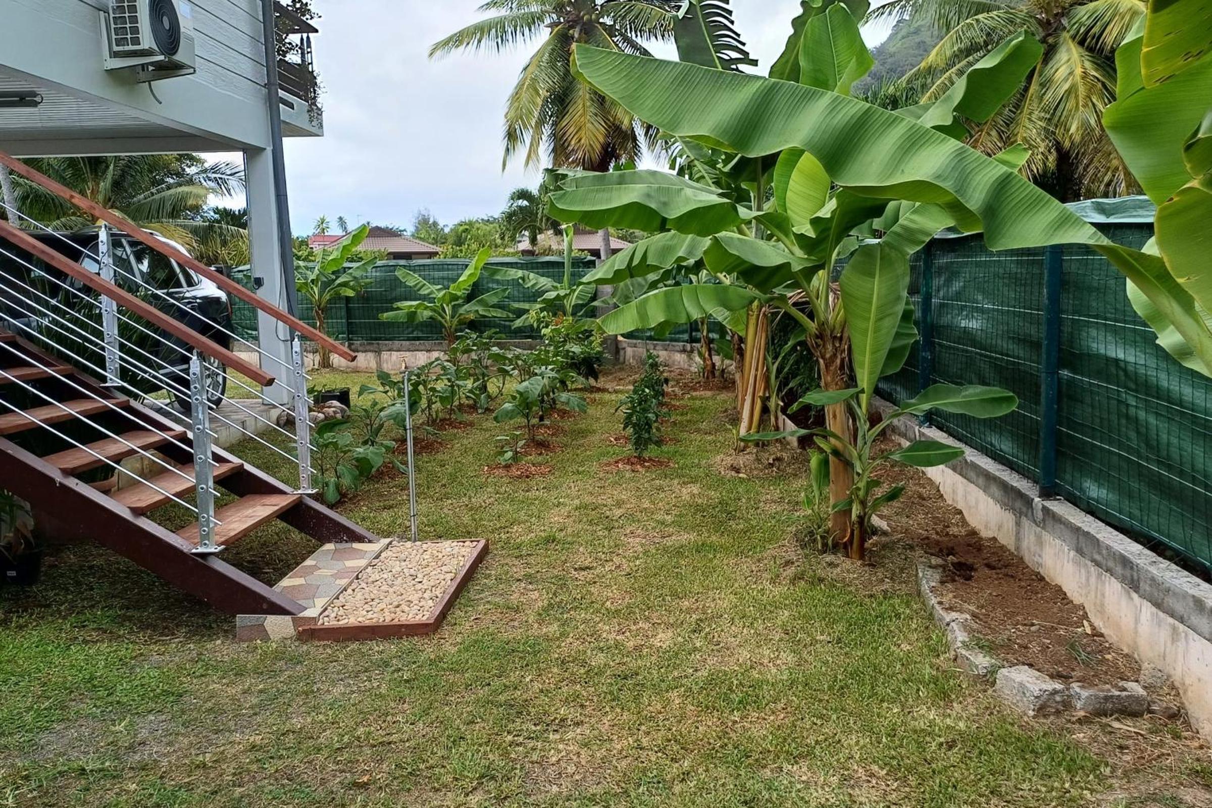 Faré Vaihere Moorea Tiaura