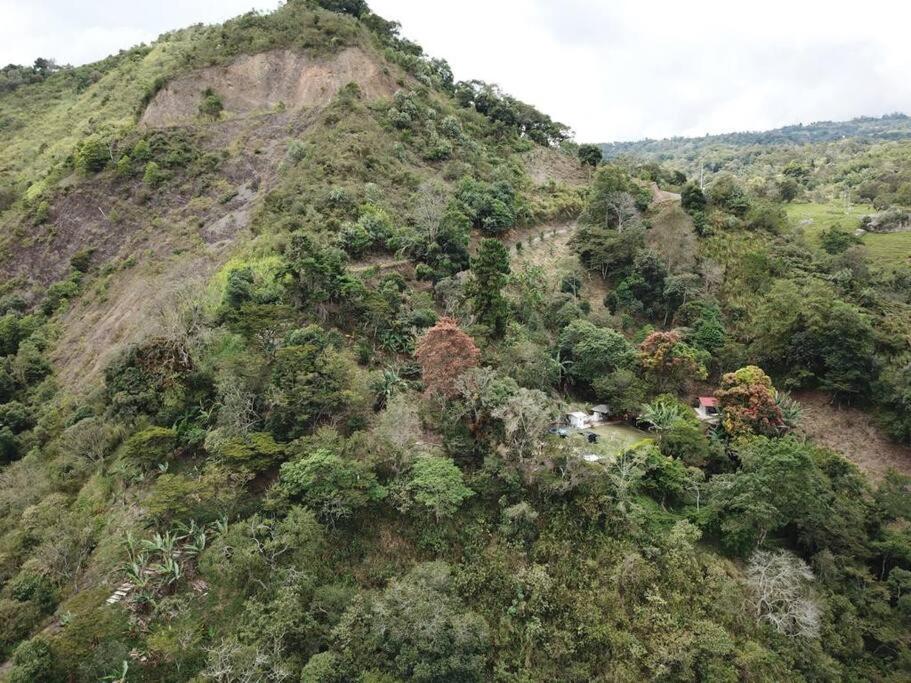 Cabaña 1 - Finca el Naranjal