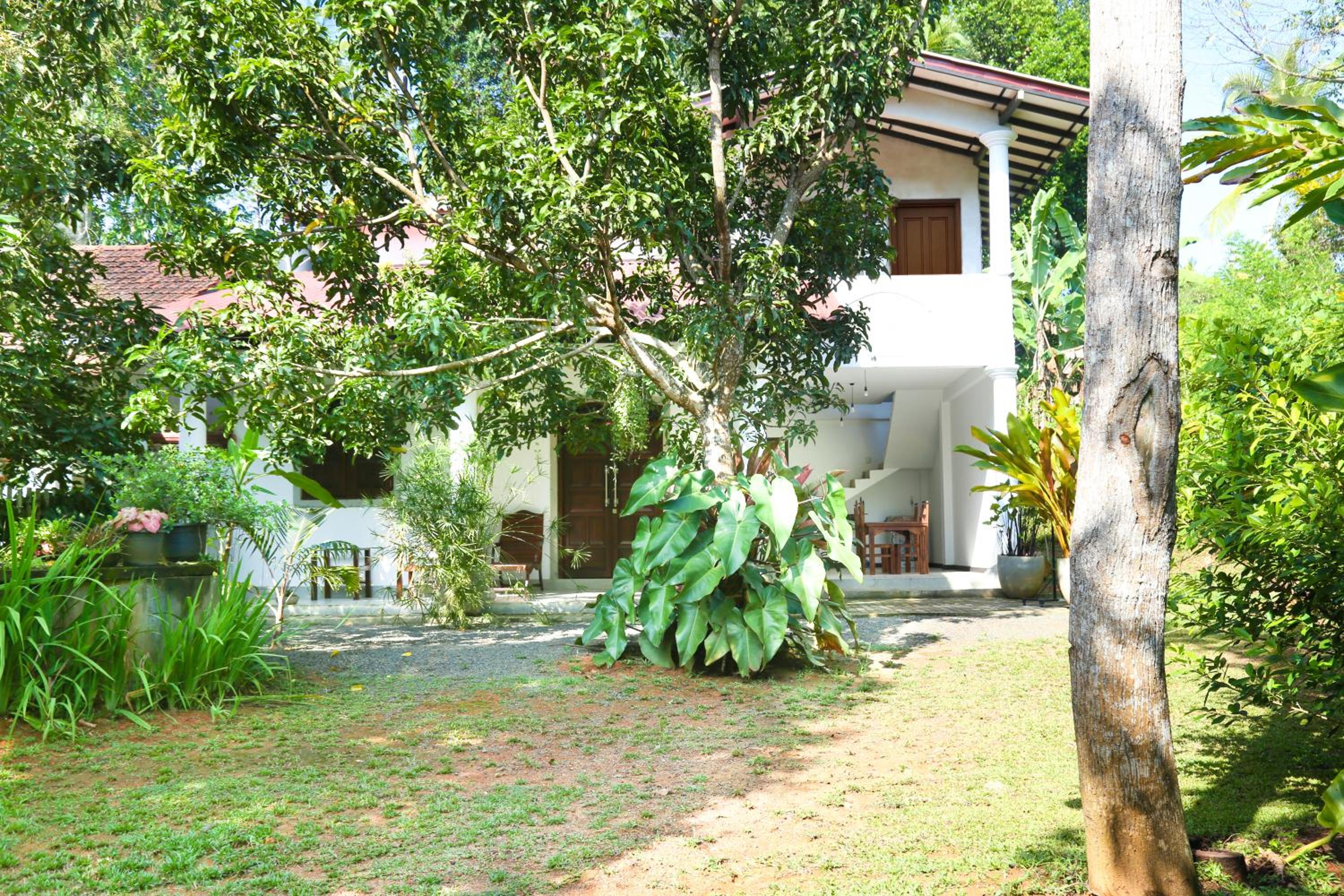 Silvery Villa view 4