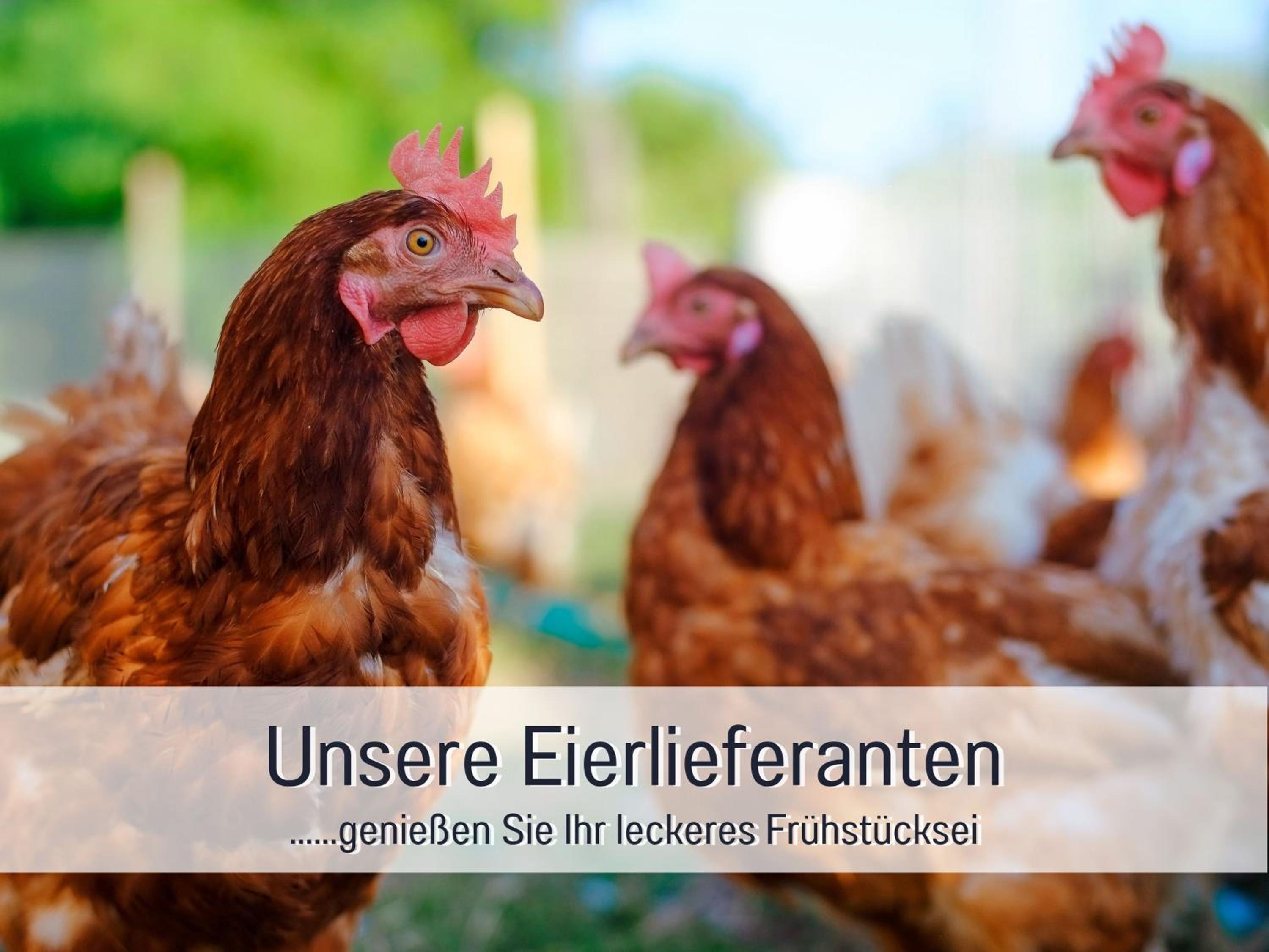 Designerwohnungen 