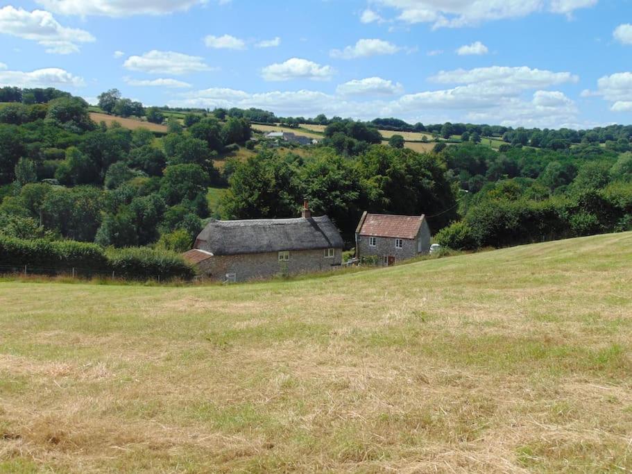 The Barn at Tanlake