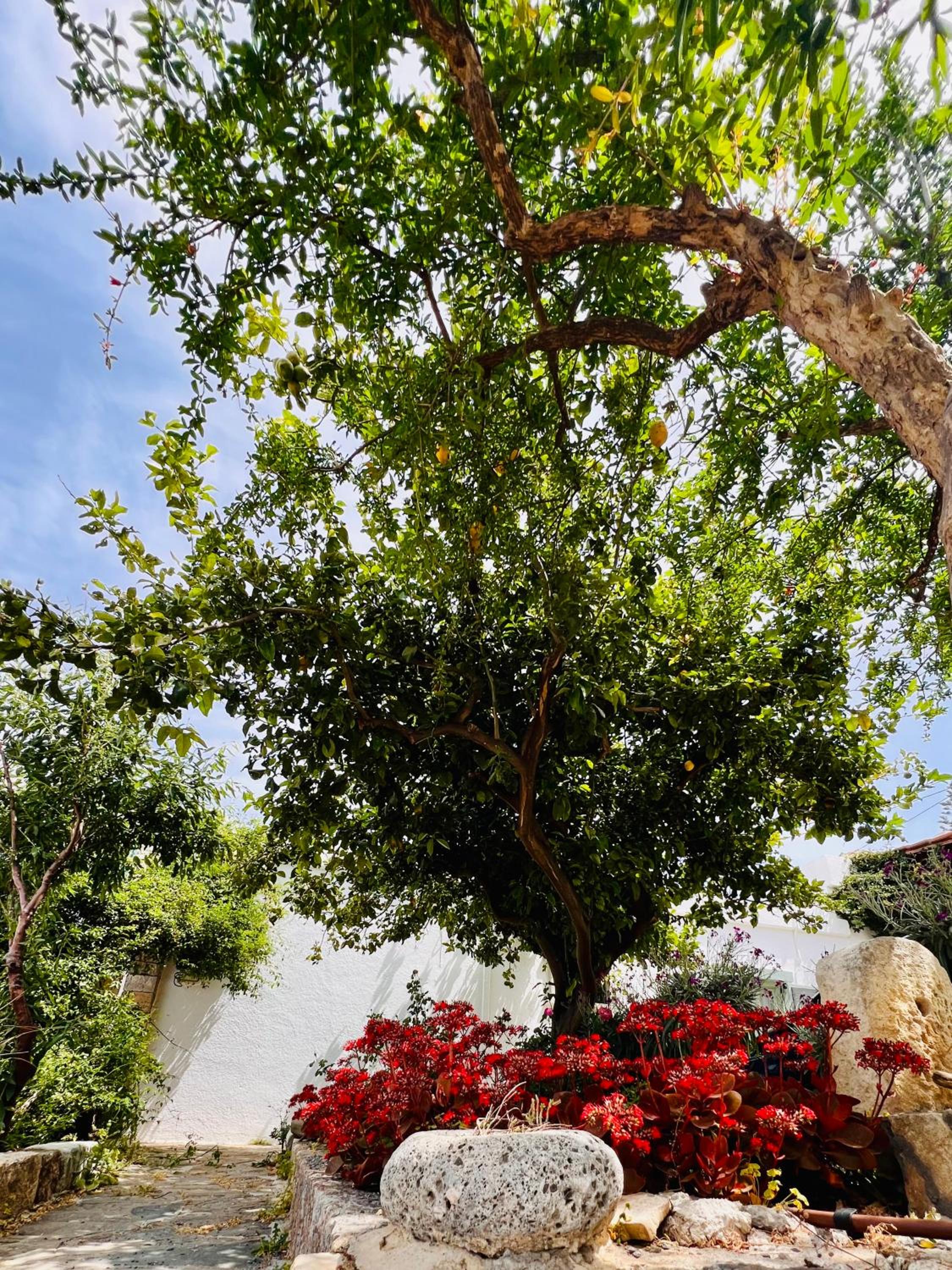 other
