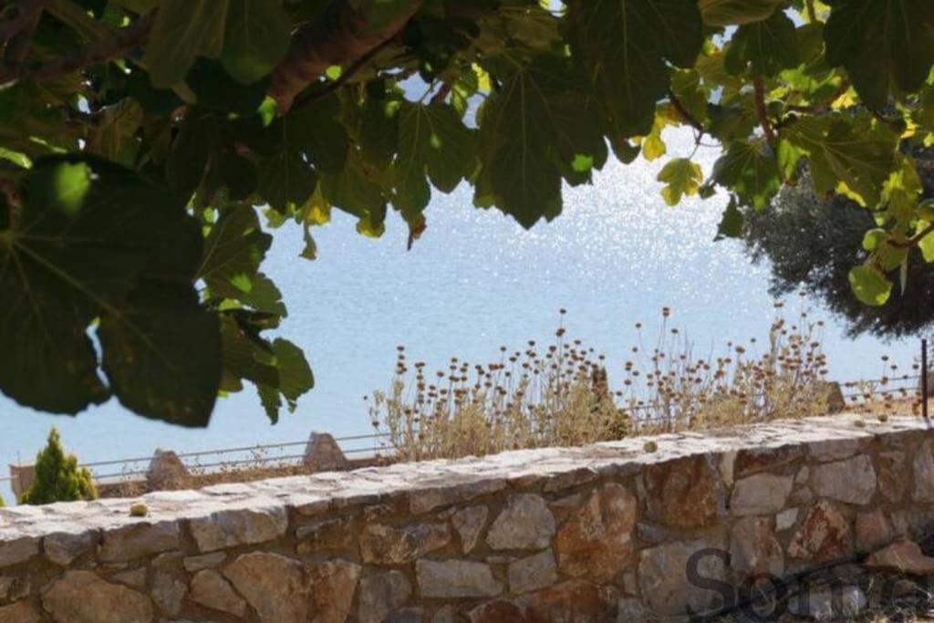 Villa Elaia Mirtila 50m from sea view 3