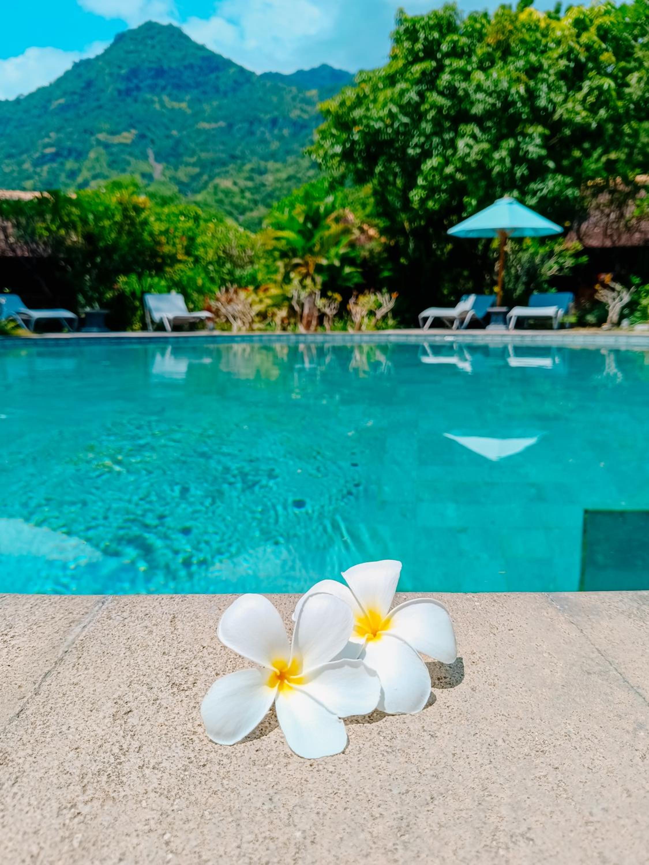 Alaya Ecolodge