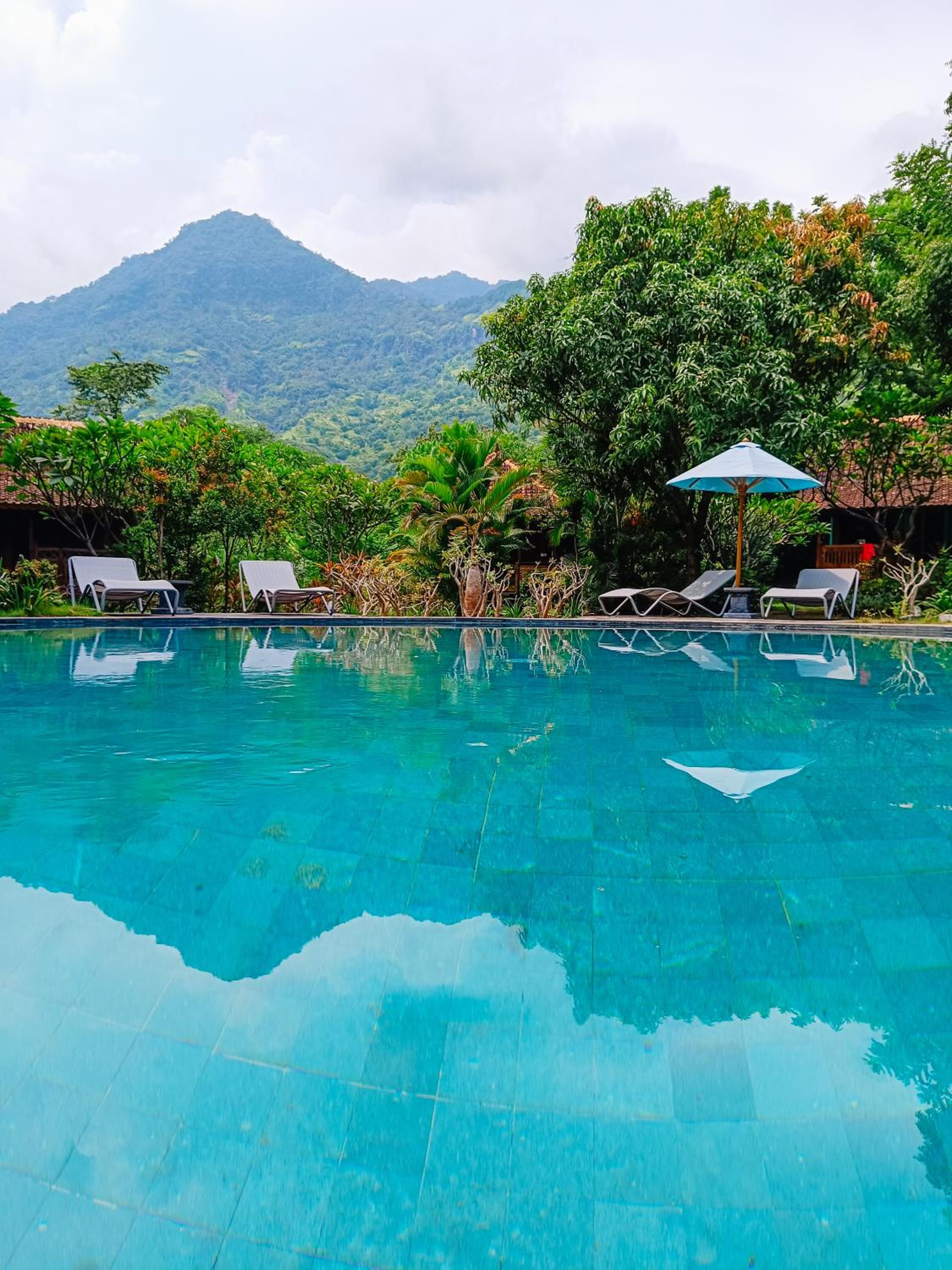 Alaya Ecolodge