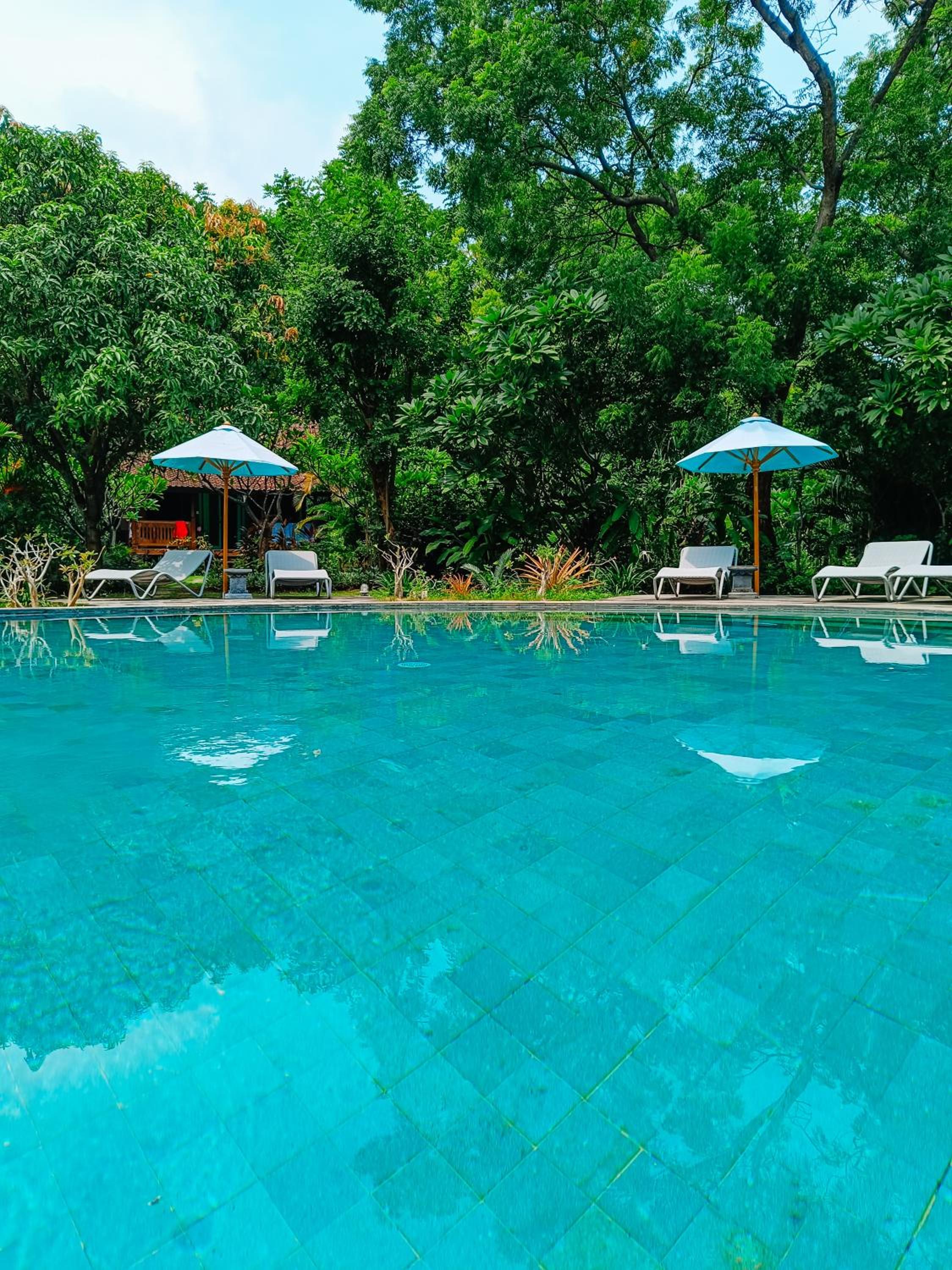 Alaya Ecolodge