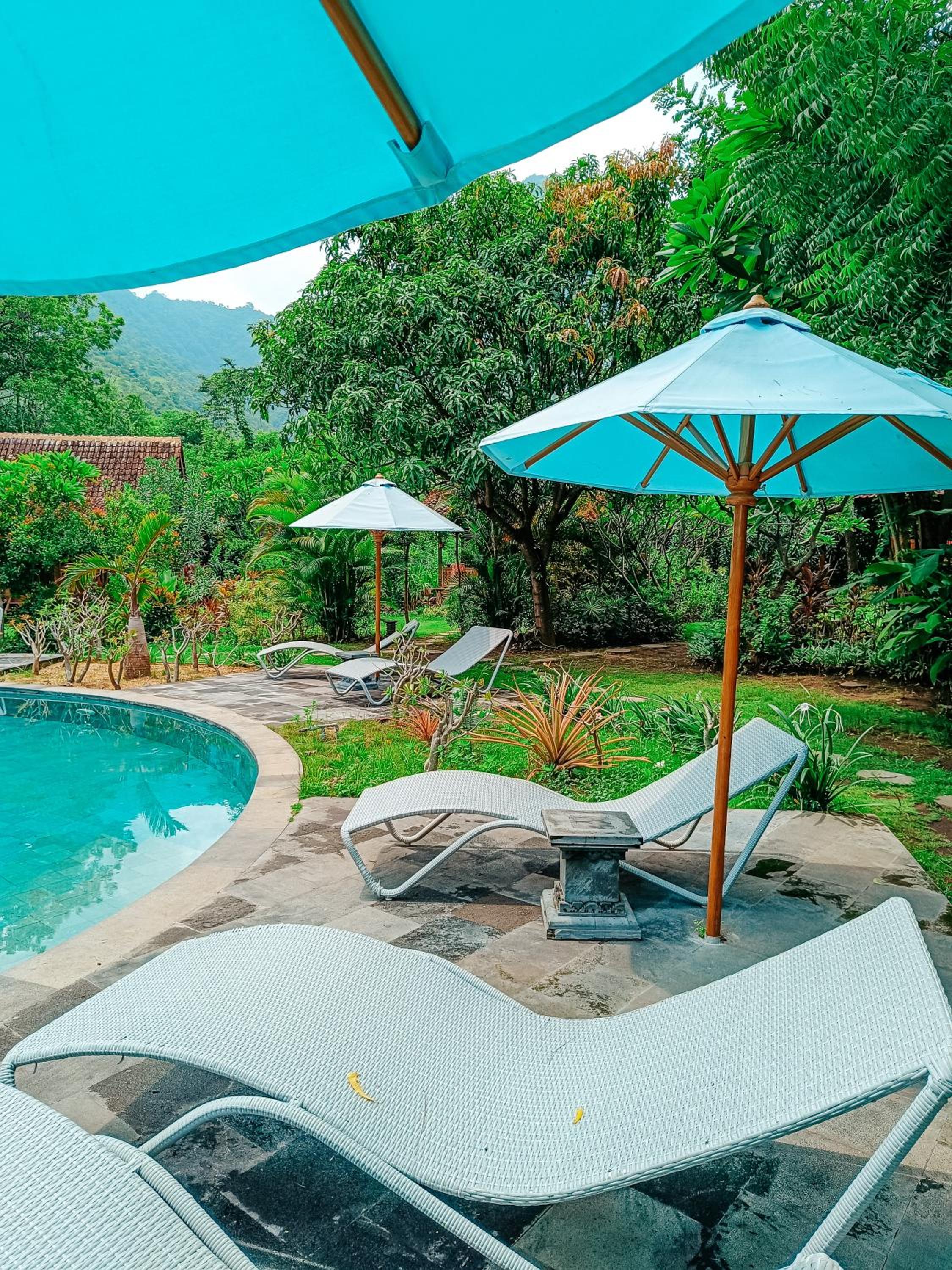 Alaya Ecolodge