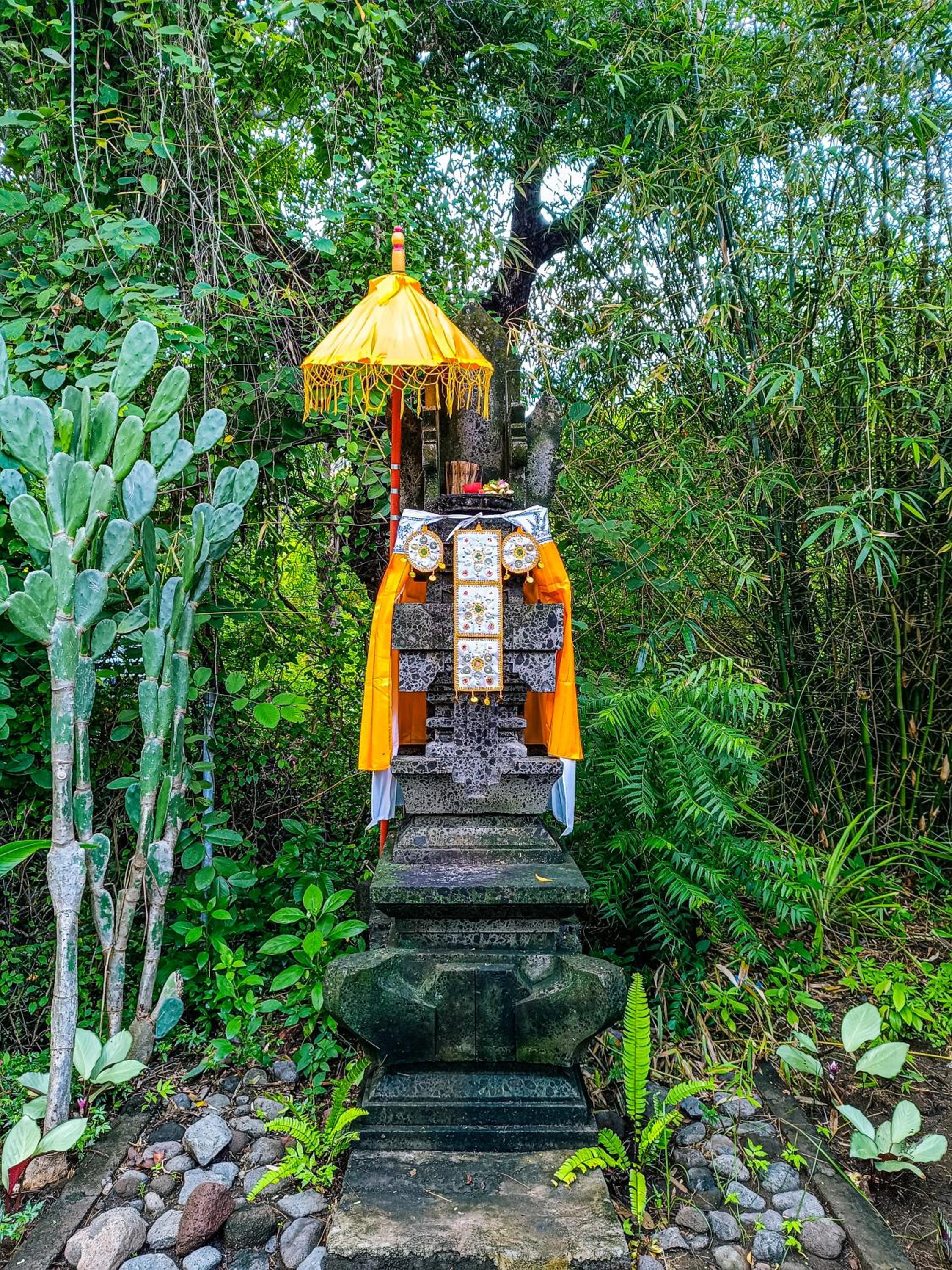 Alaya Ecolodge