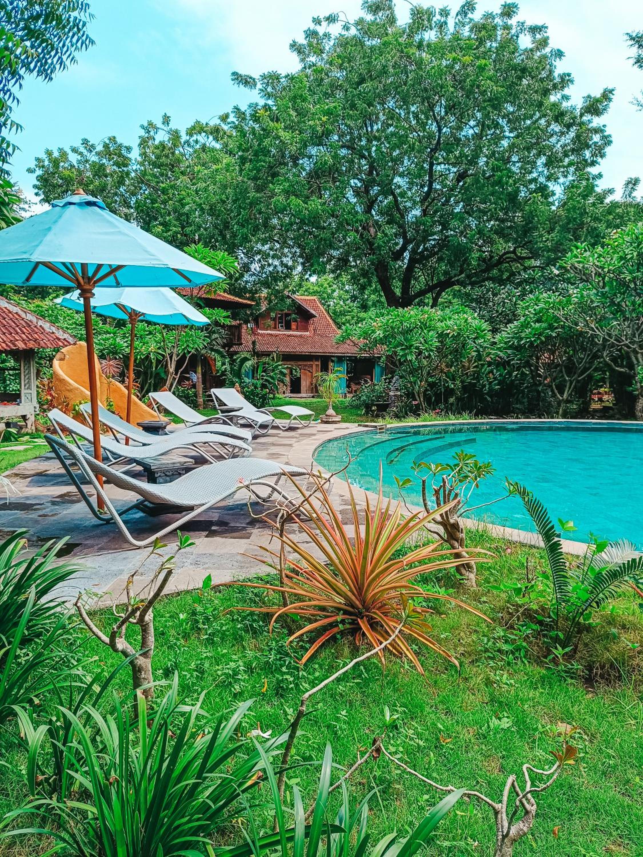 Alaya Ecolodge
