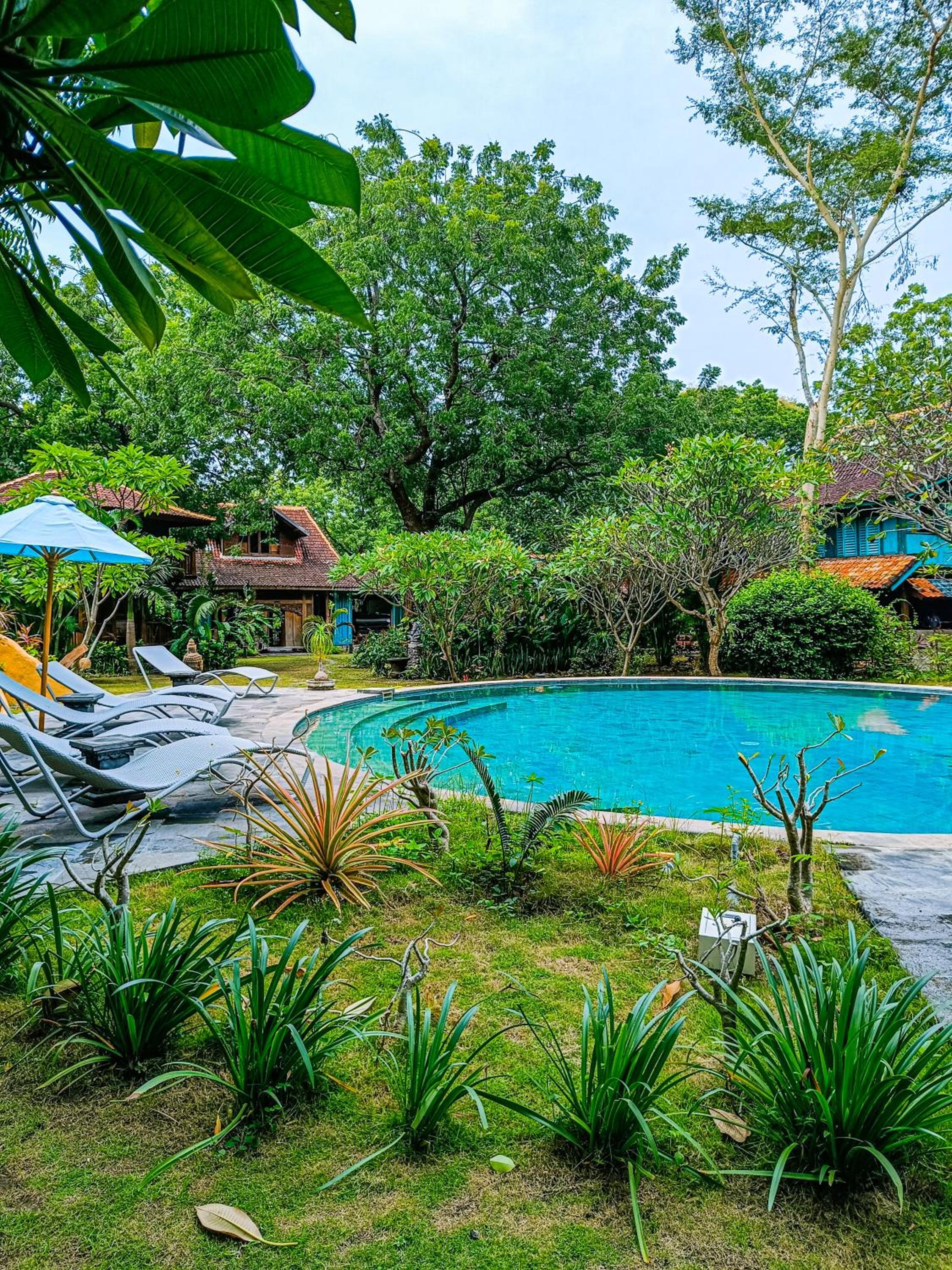 Alaya Ecolodge