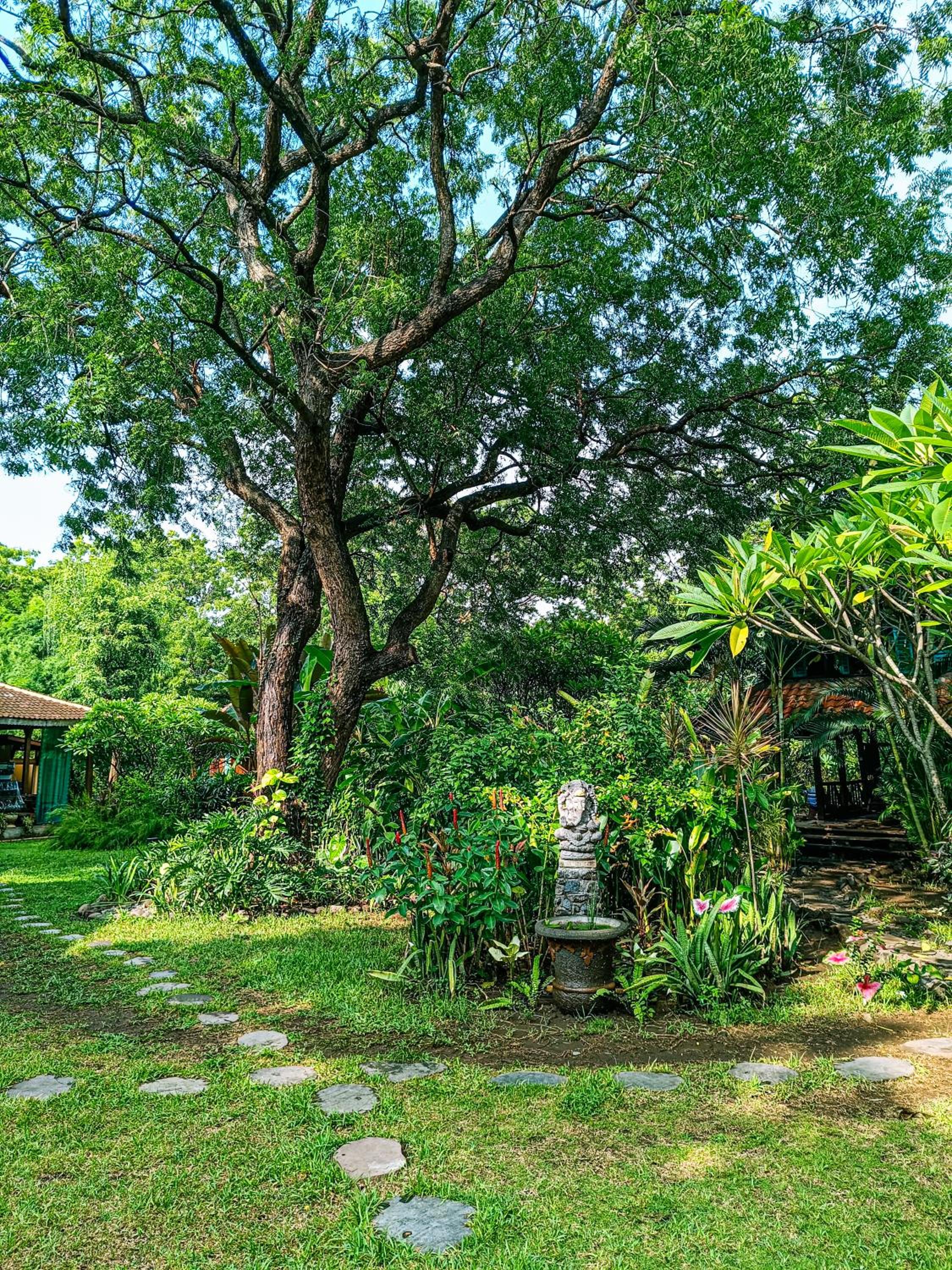 Alaya Ecolodge