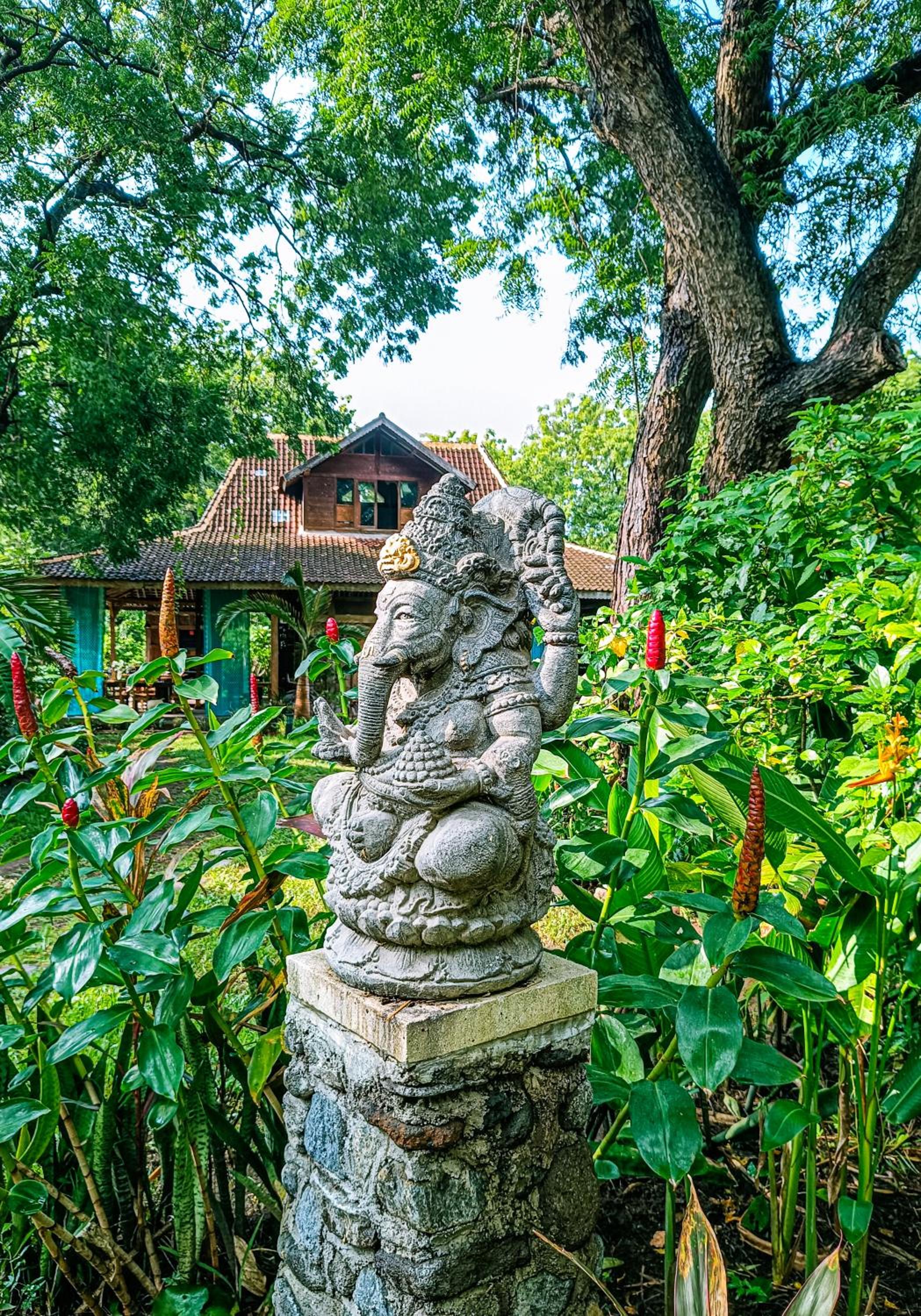 Alaya Ecolodge