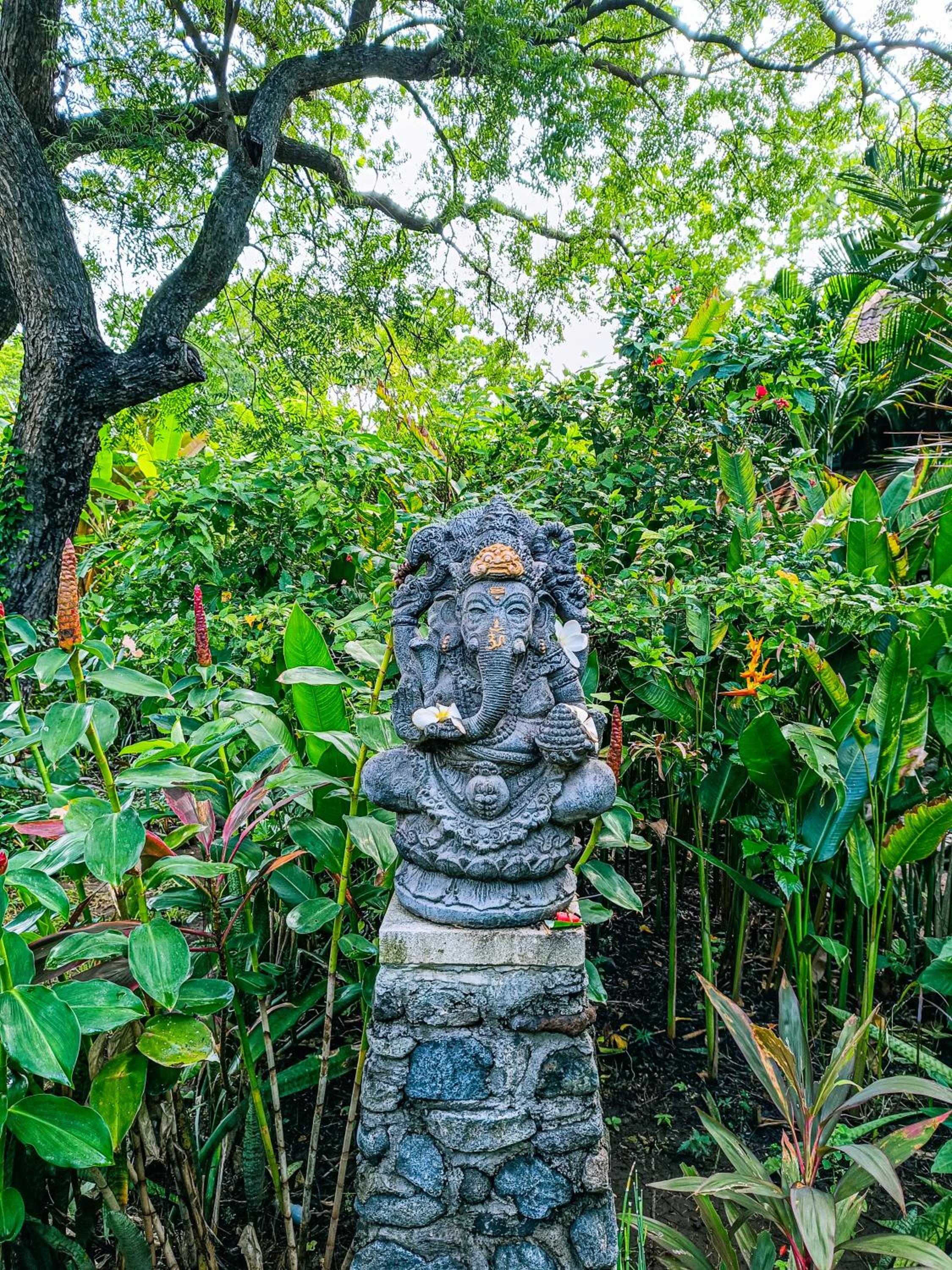 Alaya Ecolodge