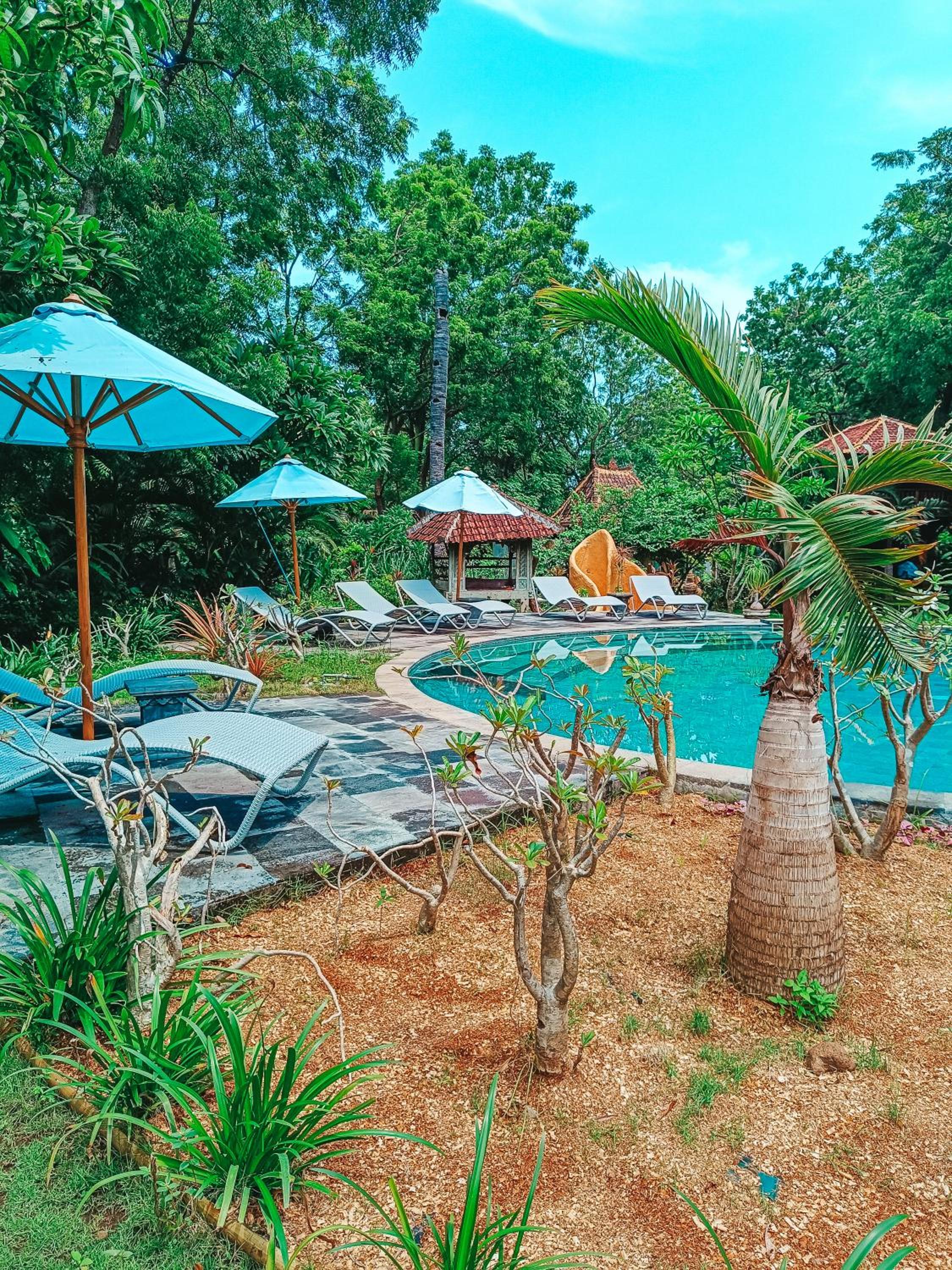 Alaya Ecolodge