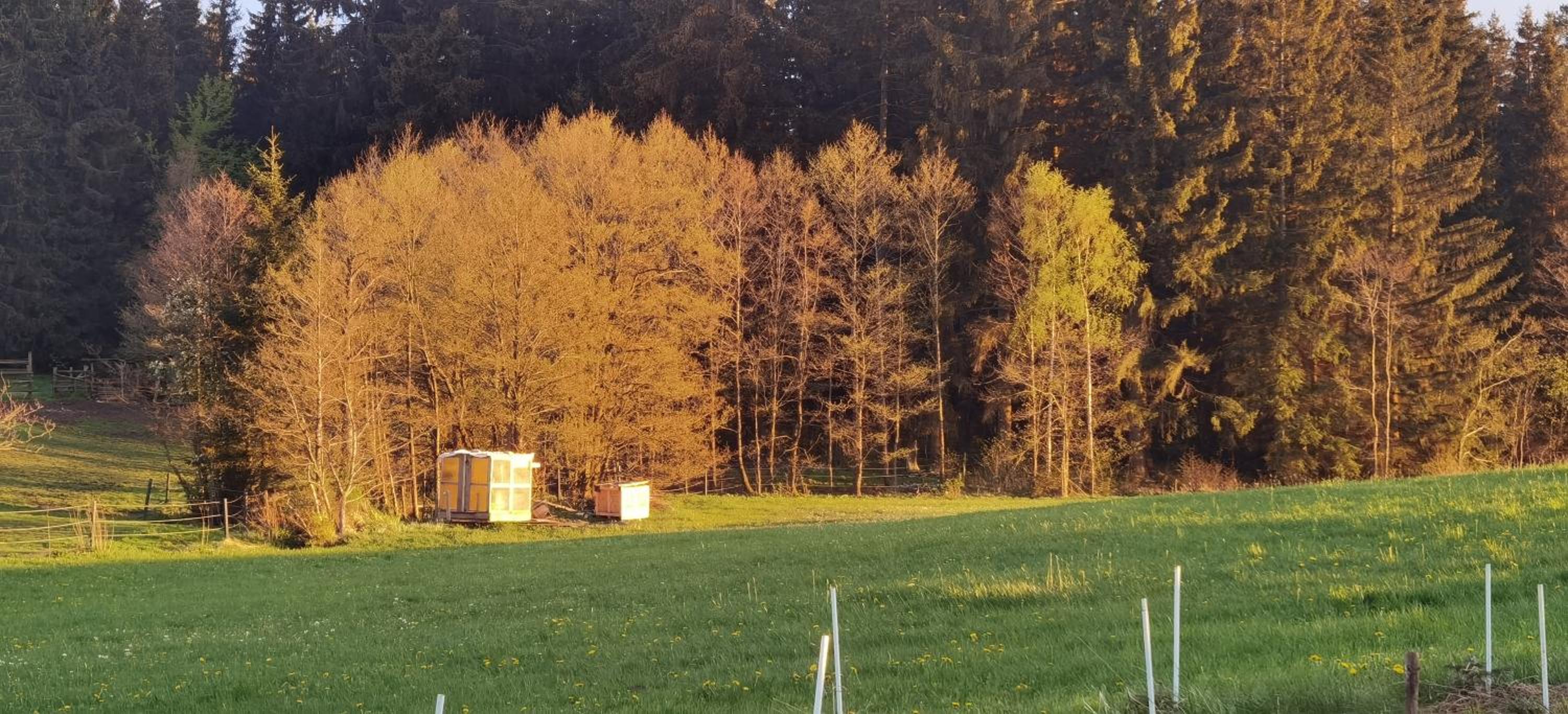 Landhaus auf der Alm