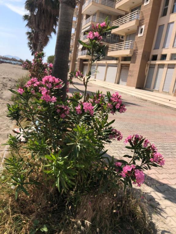theseaviewapartamentsVlore