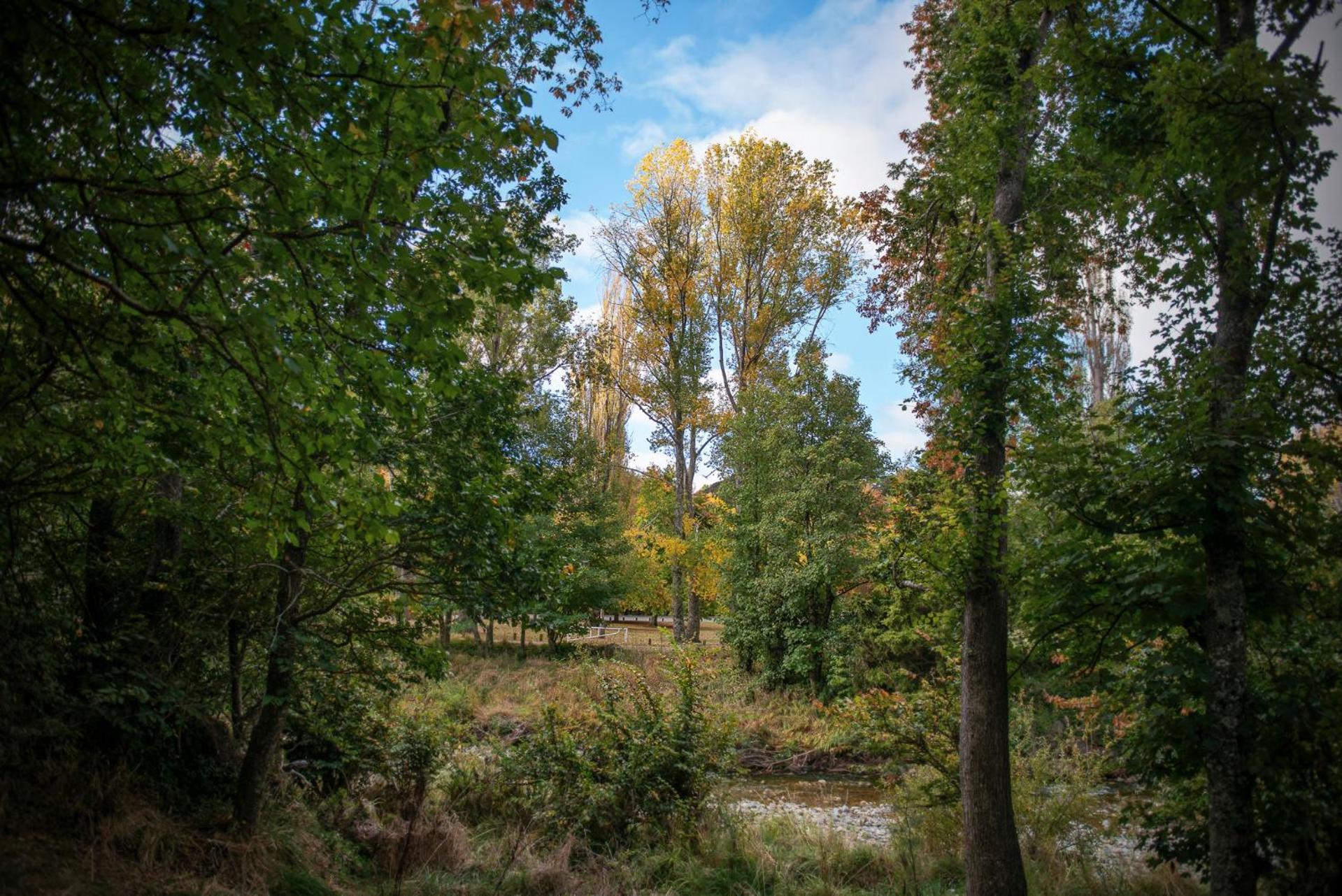 Photo 42