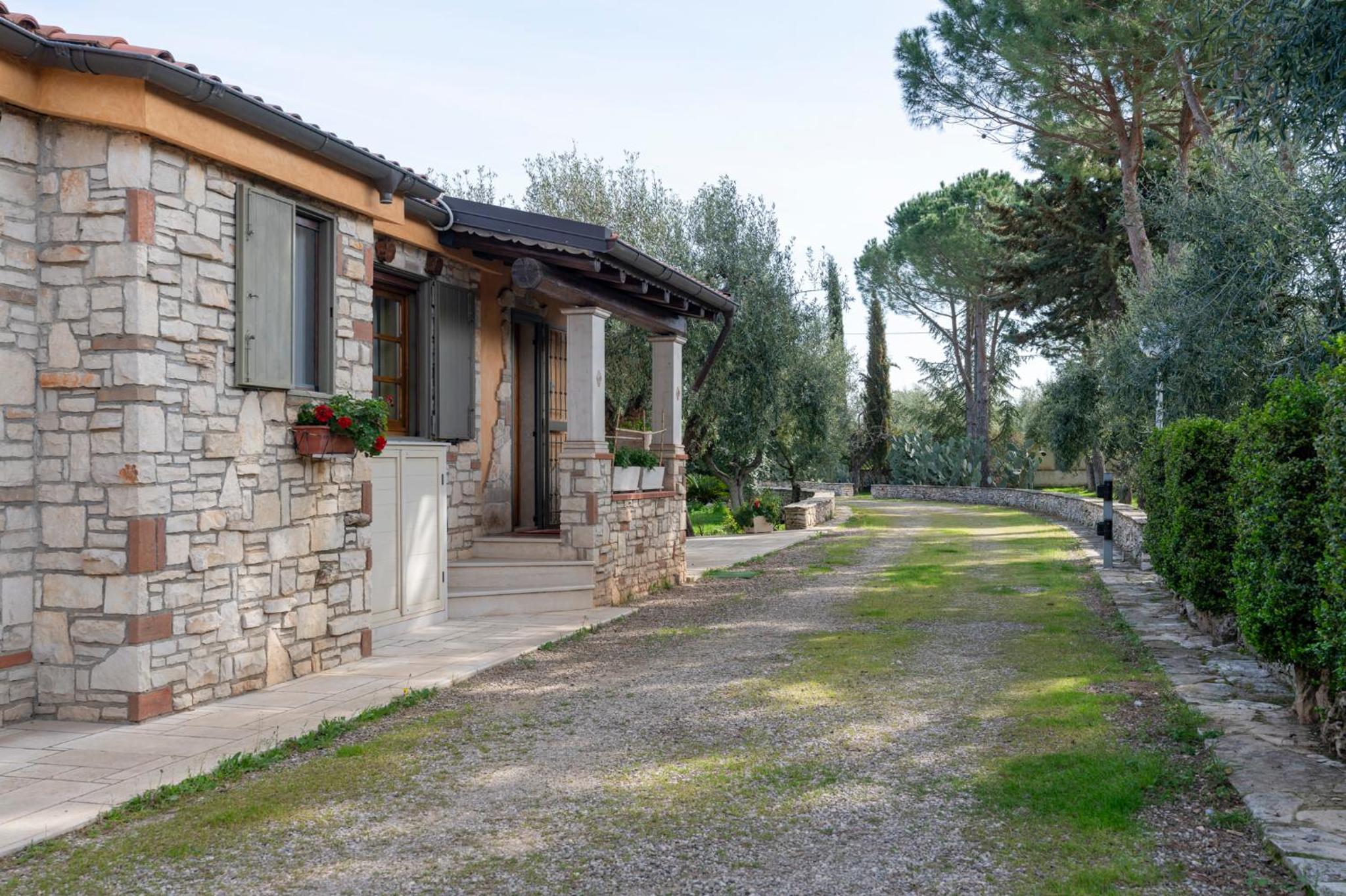 L'antica quercia photo 5