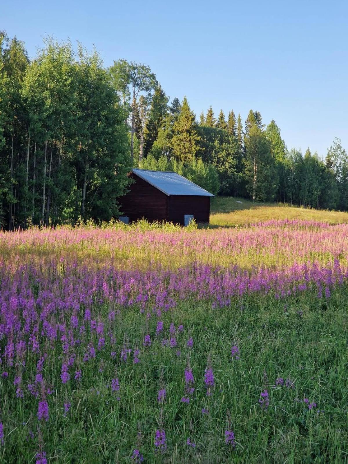 Swedish Paradise Garden & Lake Retreat