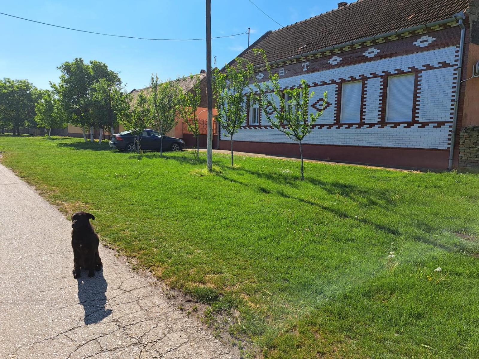 Photo 12