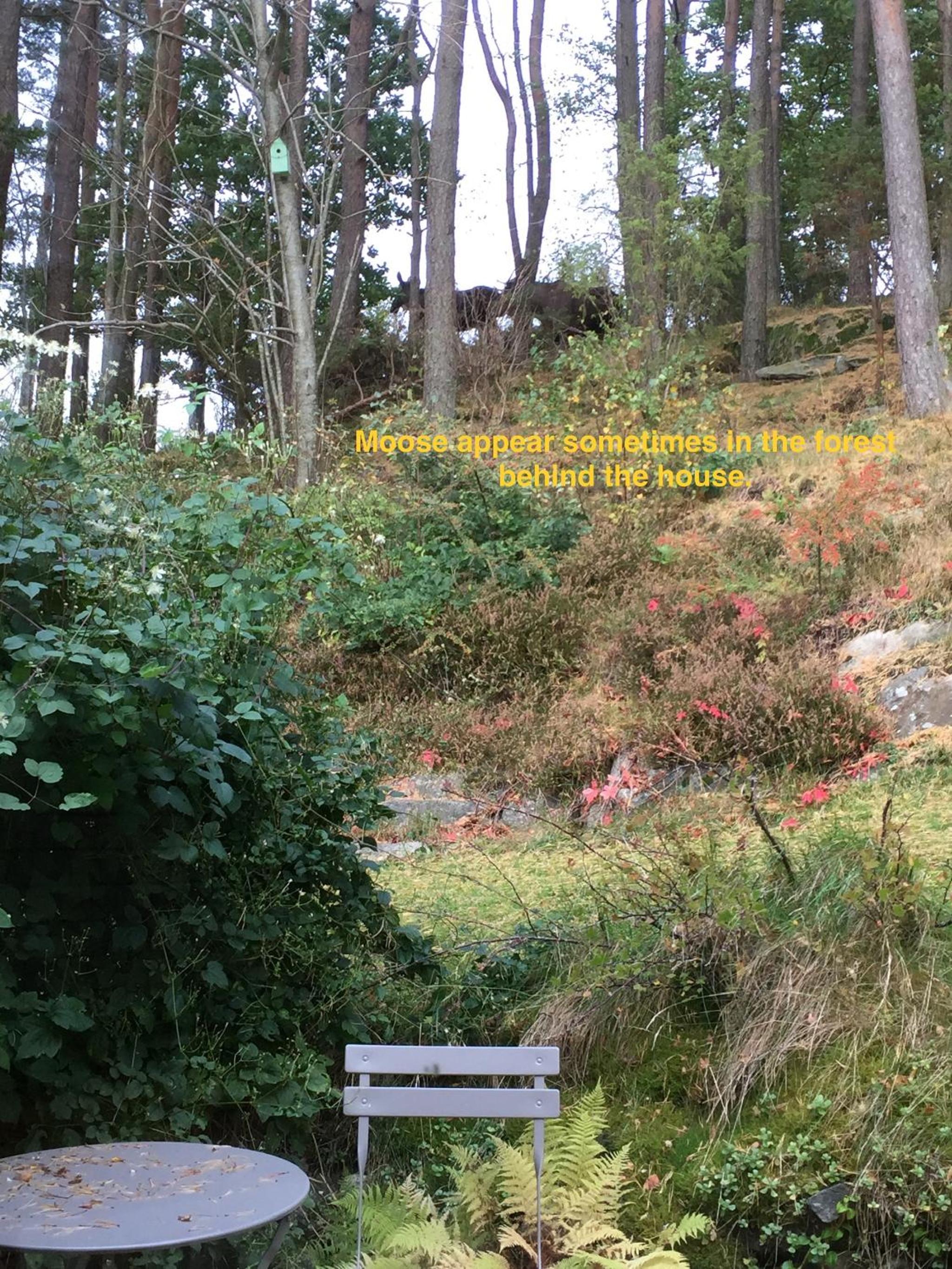 Photo 25