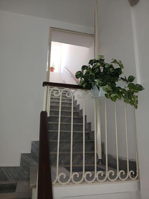 lusiana apartment