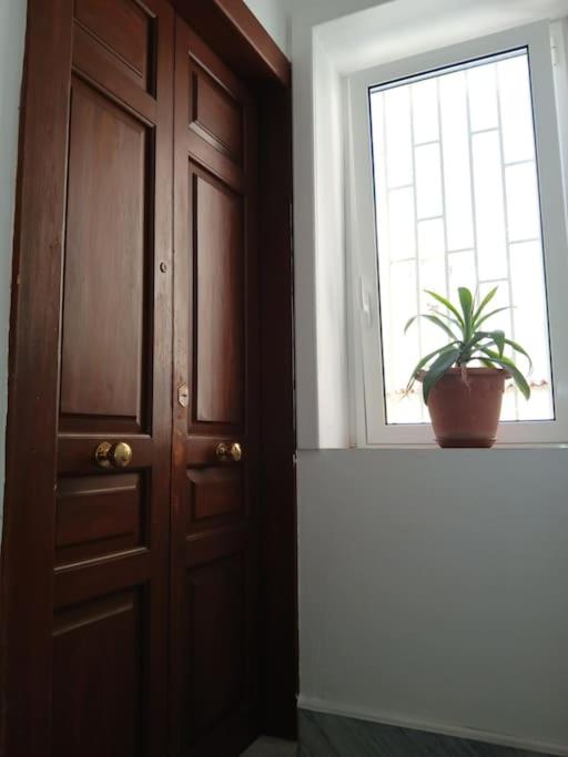 lusiana apartment