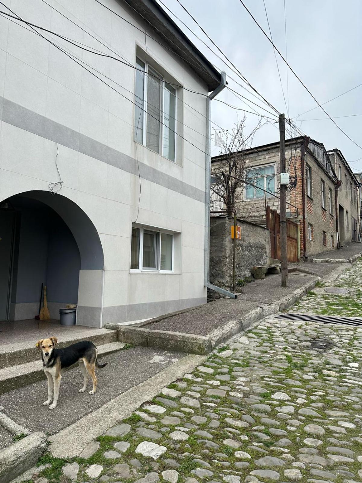 Photo 43