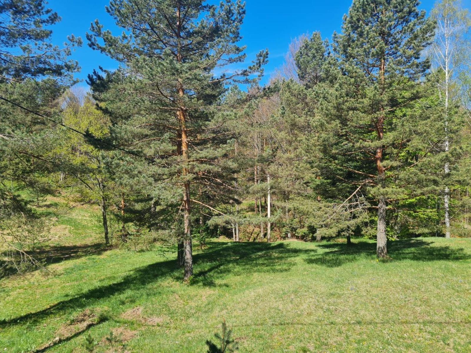 Apartman VIN 5