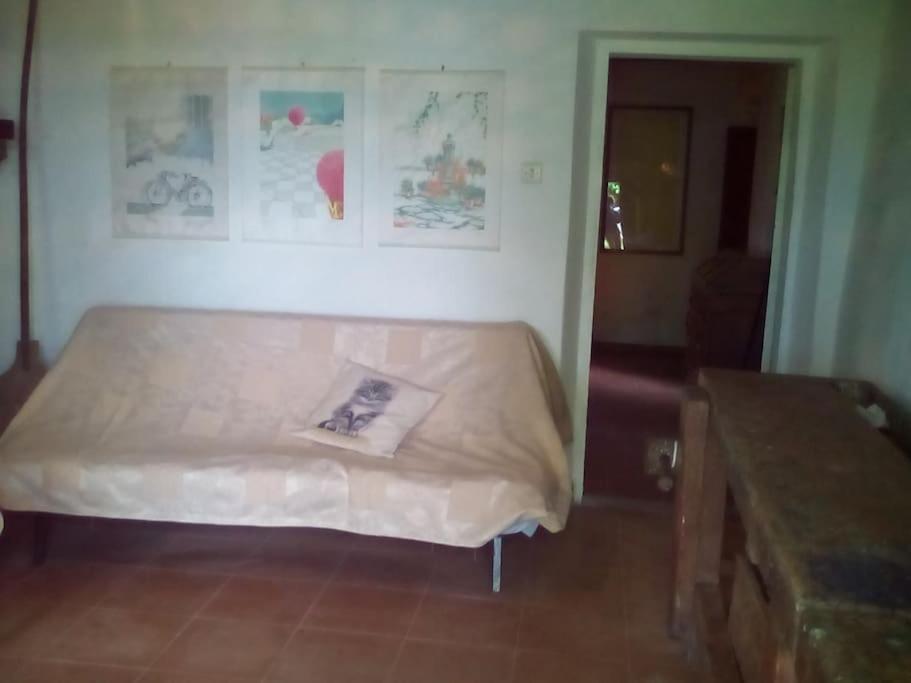 Casa nel bosco a 10 minuti da Pistoia view 4