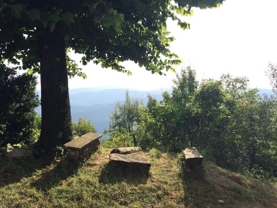 Casa nel bosco a 10 minuti da Pistoia view 5