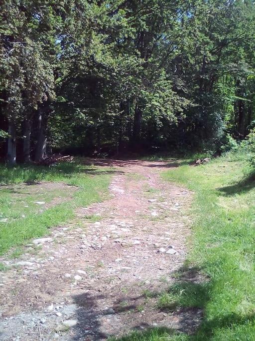 Photo 27