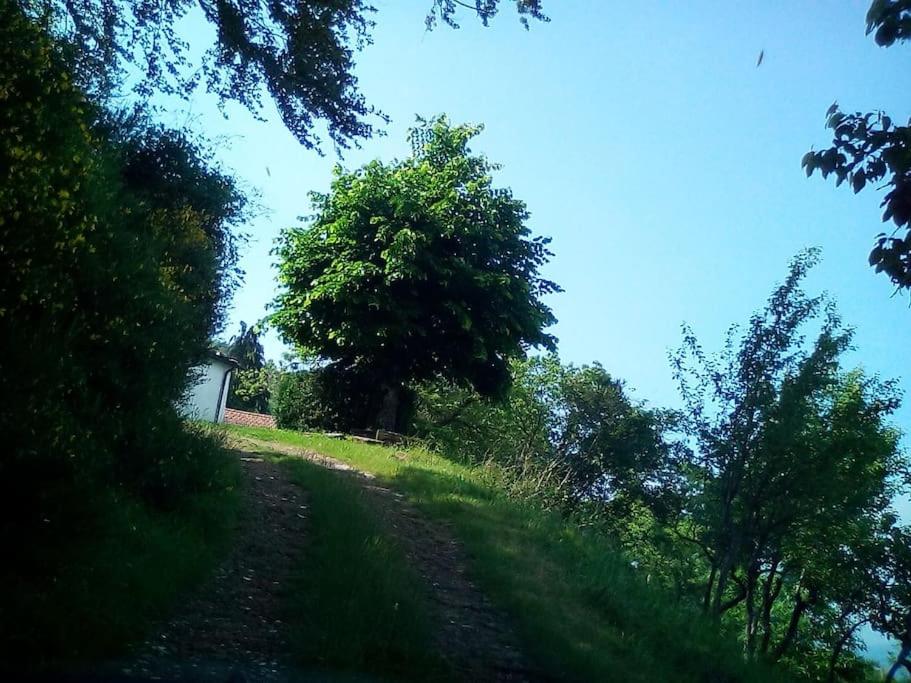 Photo 56