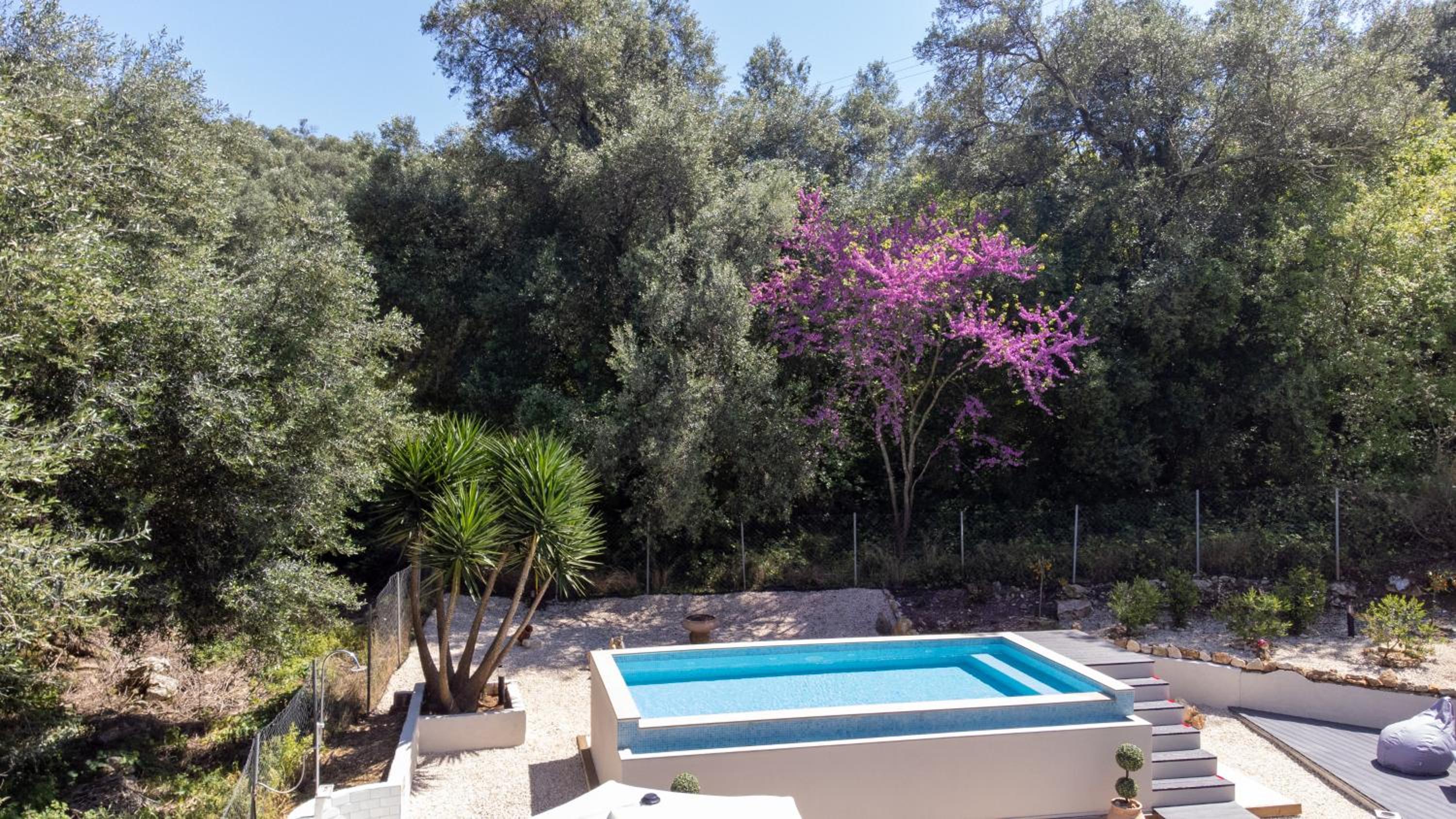 Armoniahousesuites